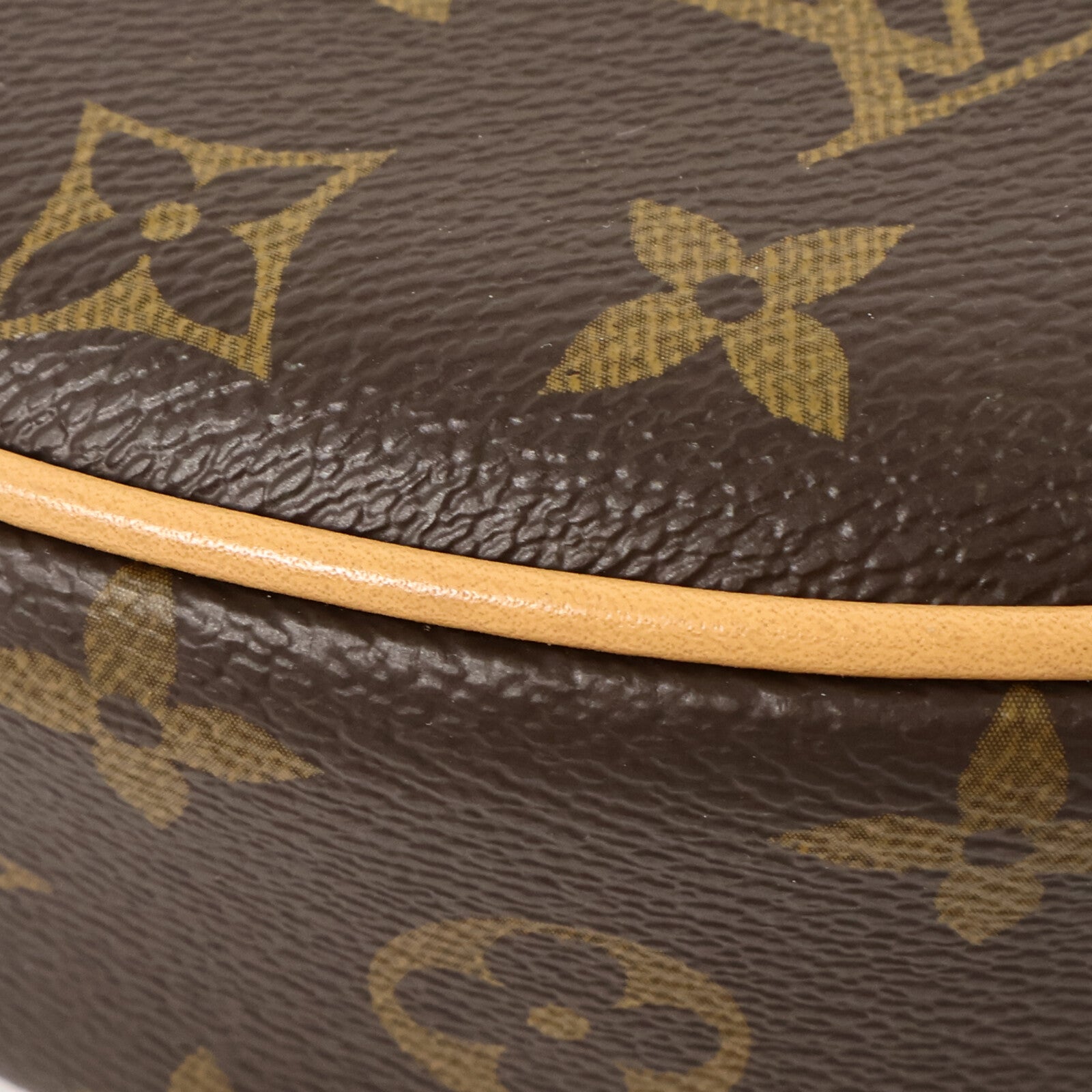 LOUIS VUITTON Monogram Loop肩背袋