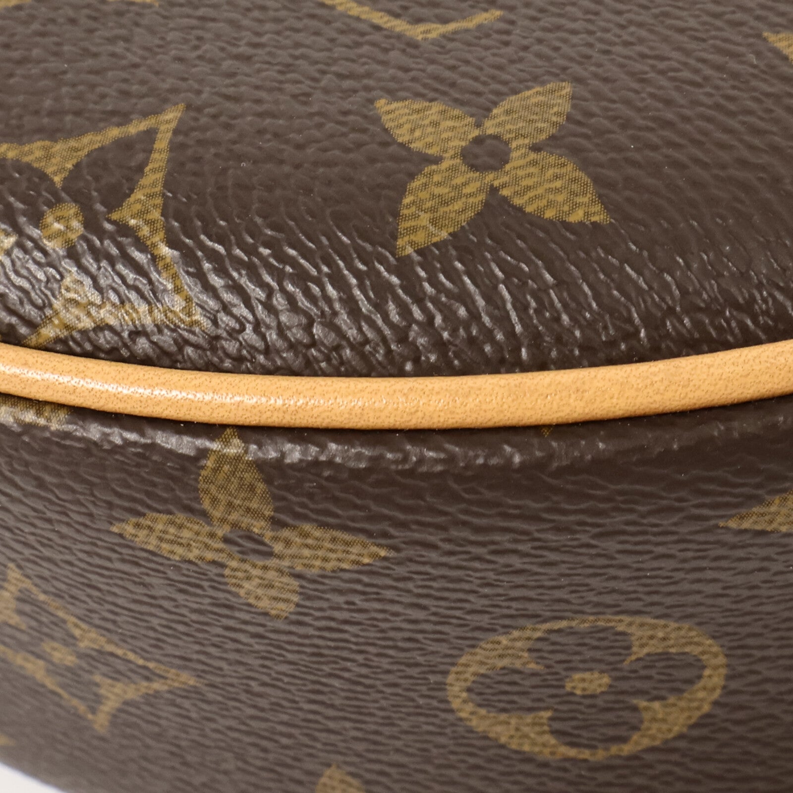 LOUIS VUITTON Monogram Loop肩背袋