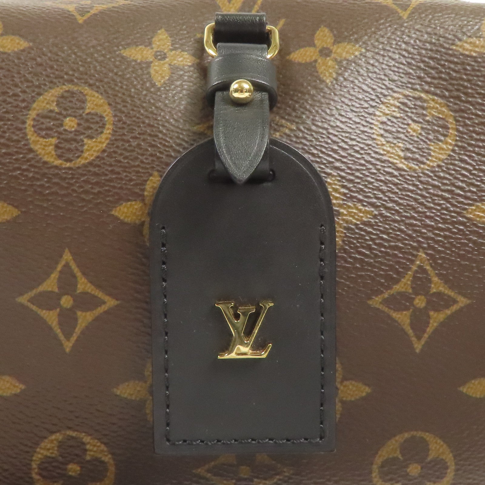 LOUIS VUITTON Monogram Petite Malle Souple金扣手挽肩背兩用袋棕色
