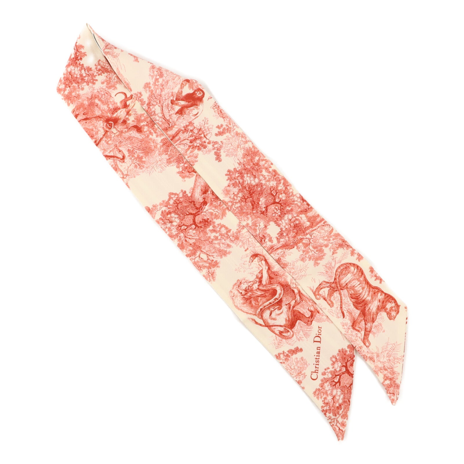 Dior 絲質Scarf絲巾