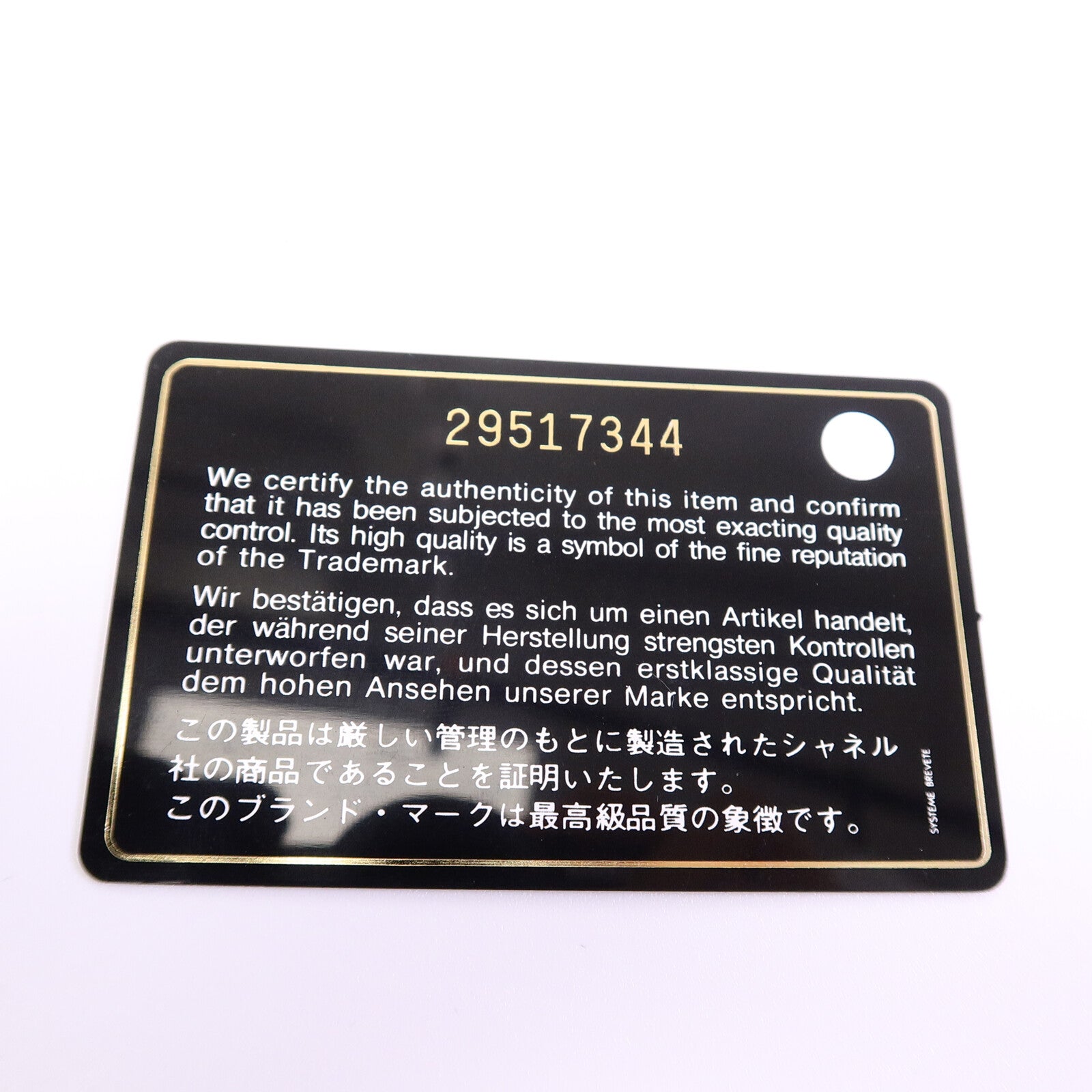 CHANEL 羊皮皮革Chanel 19 WOC鏈帶手挽肩背兩用袋