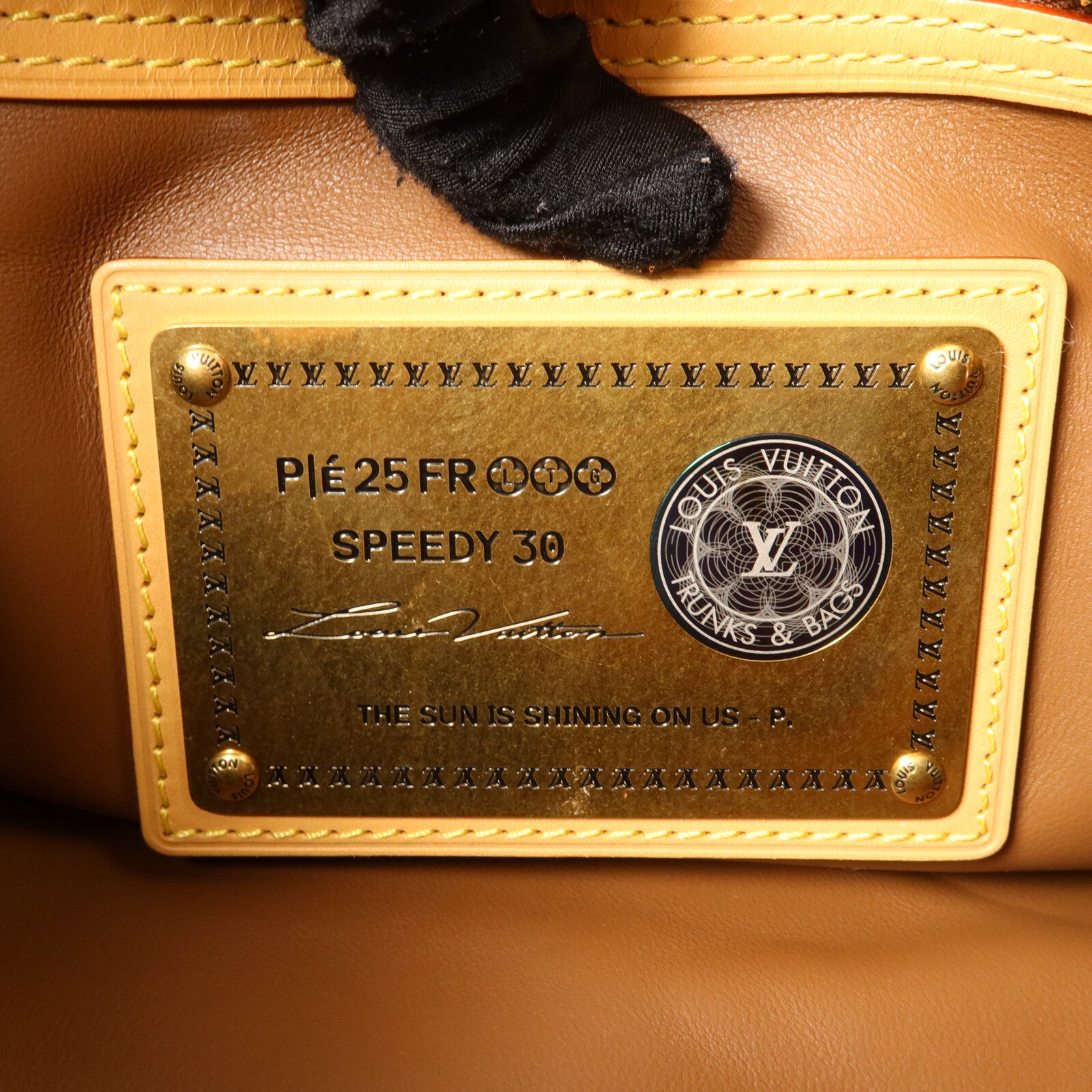 LOUIS VUITTON 牛皮皮革Speedy P9 Bandouliere 30手挽肩背兩用袋