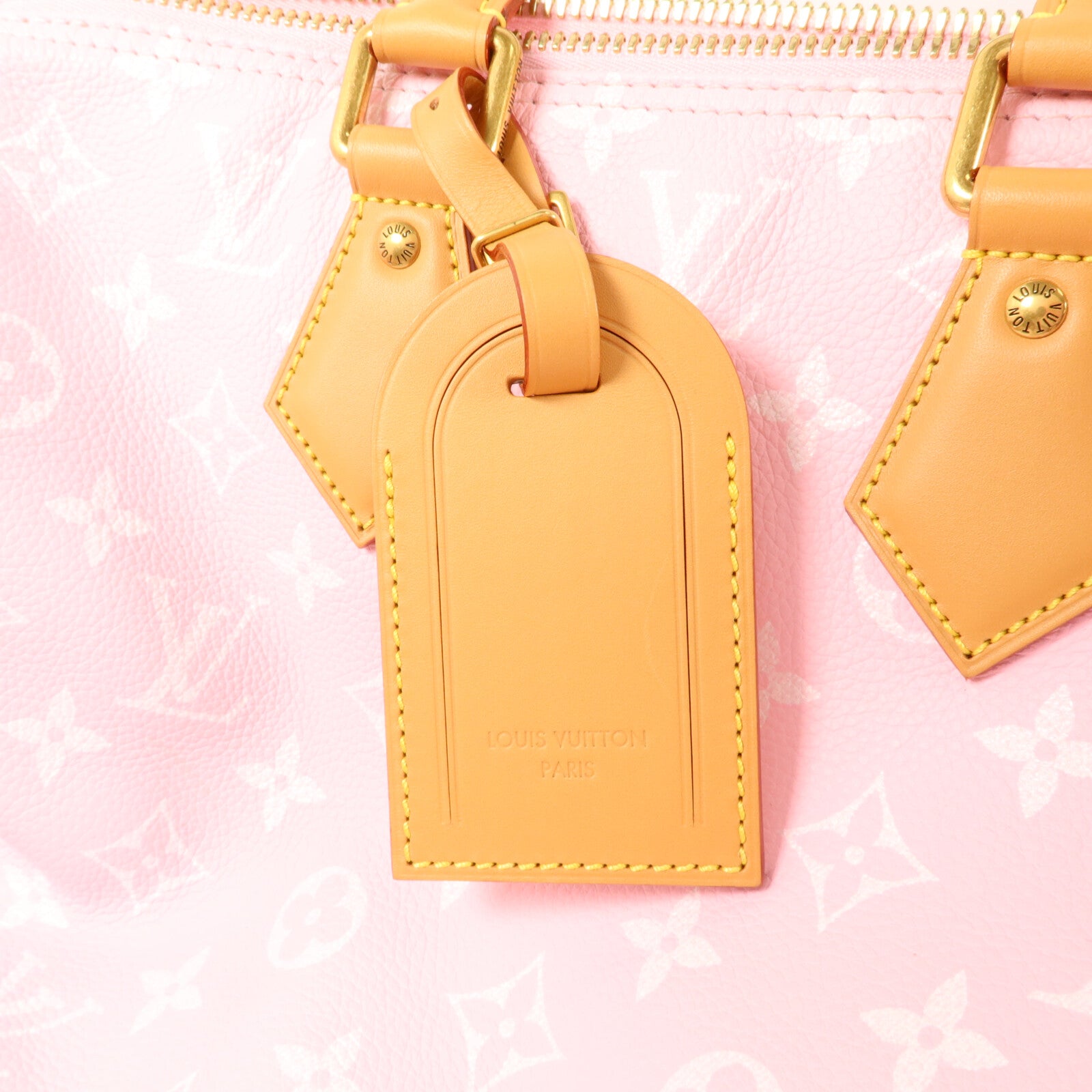 LOUIS VUITTON 牛皮皮革Speedy P9 Bandouliere 30手挽肩背兩用袋