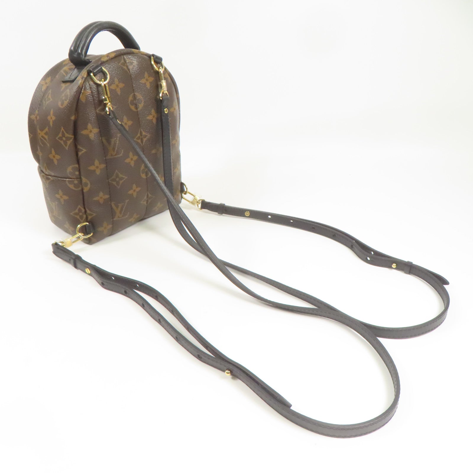 LOUIS VUITTON LV GHW Palm Spring Mini Backpack Monogram M44873 Brown