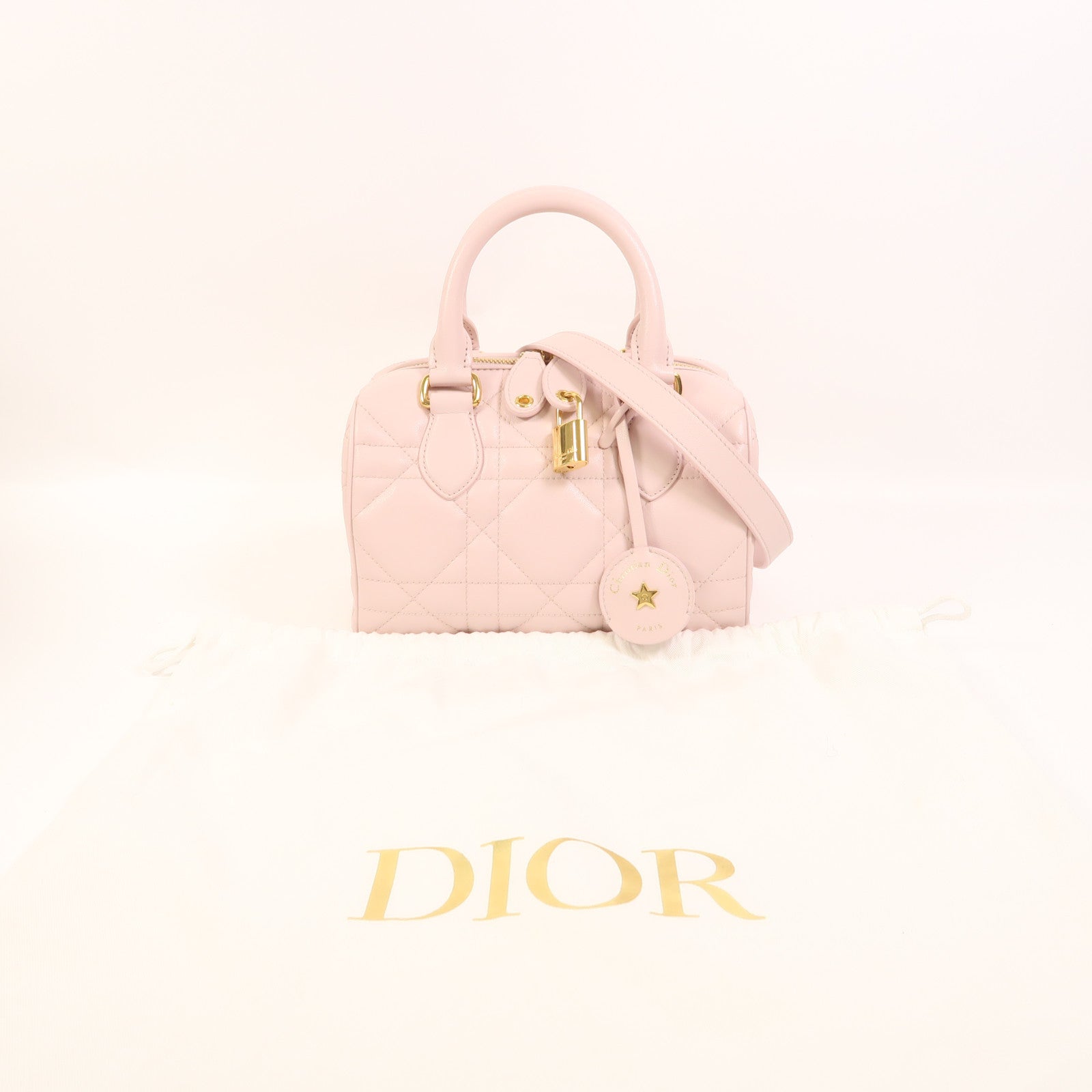 Dior 羊皮皮革Groove 20金扣手挽肩背兩用袋
