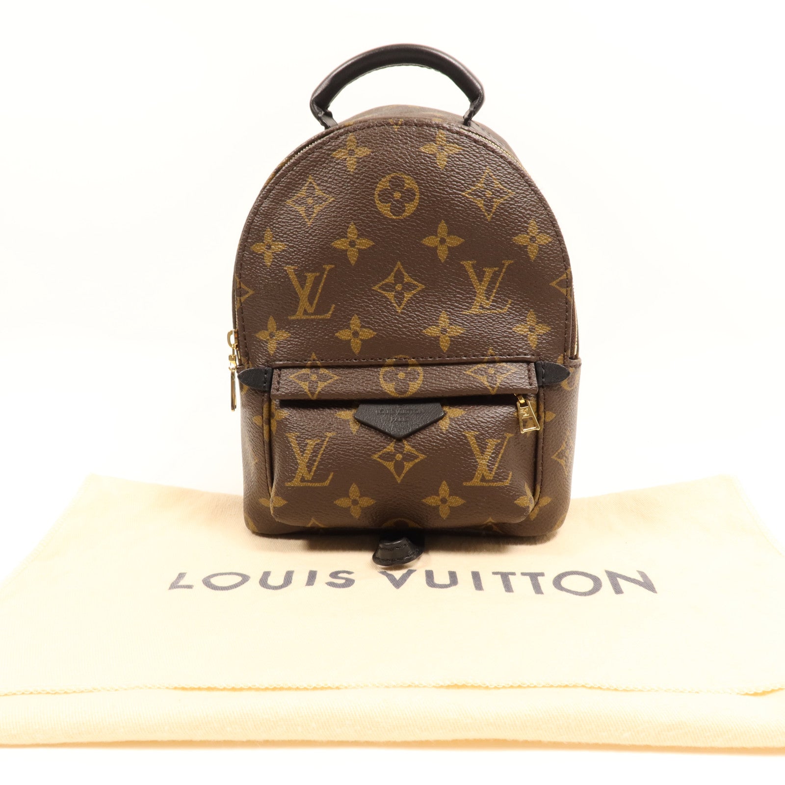 LOUIS VUITTON Monogram Palm Springs金扣背包
