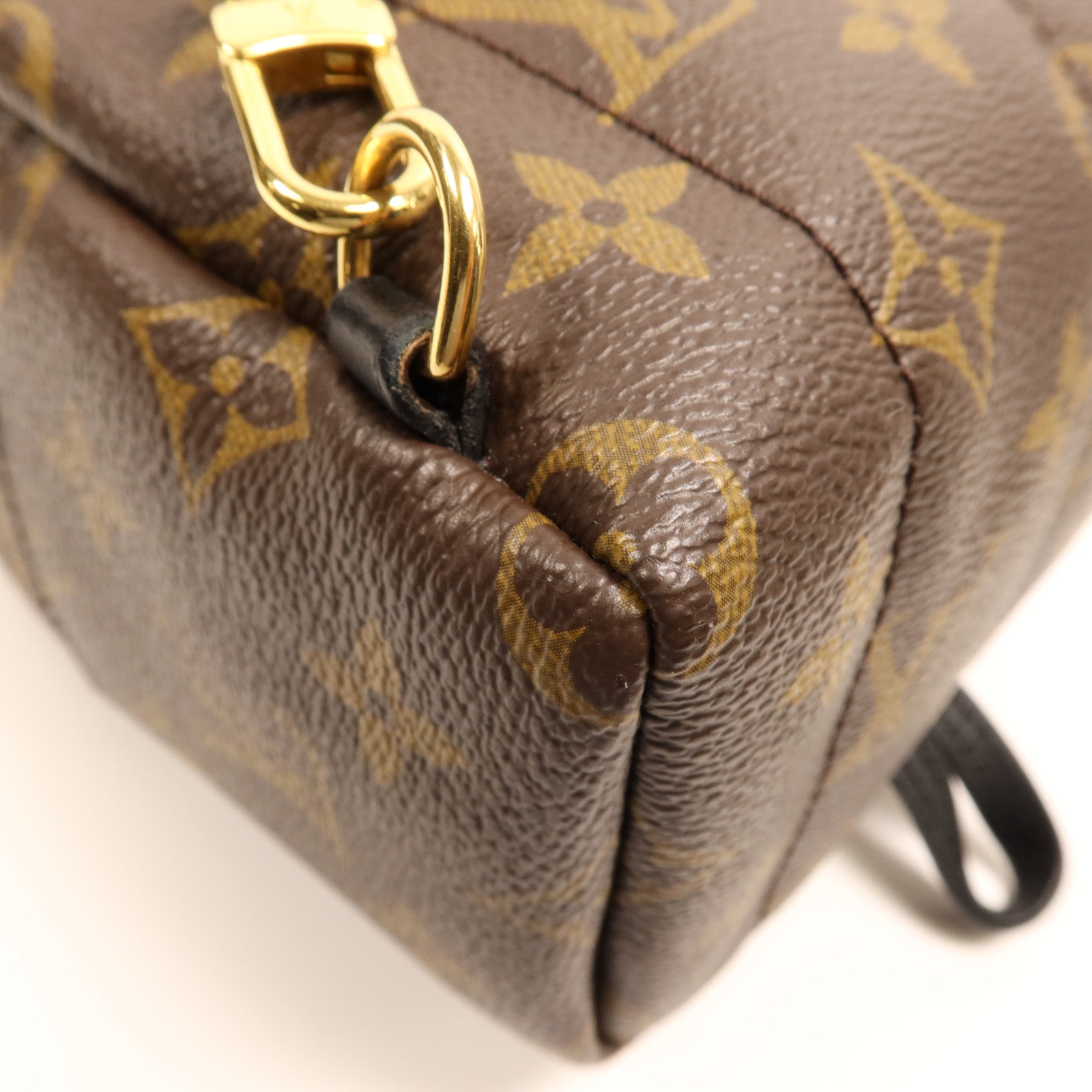 LOUIS VUITTON Monogram Palm Springs金扣背包