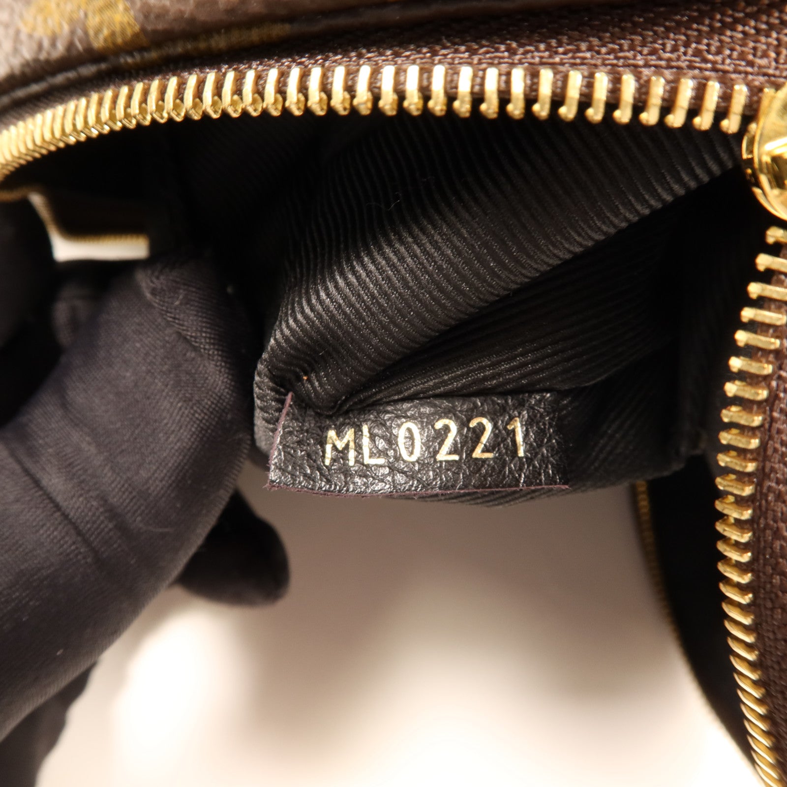 LOUIS VUITTON Monogram Palm Springs金扣背包