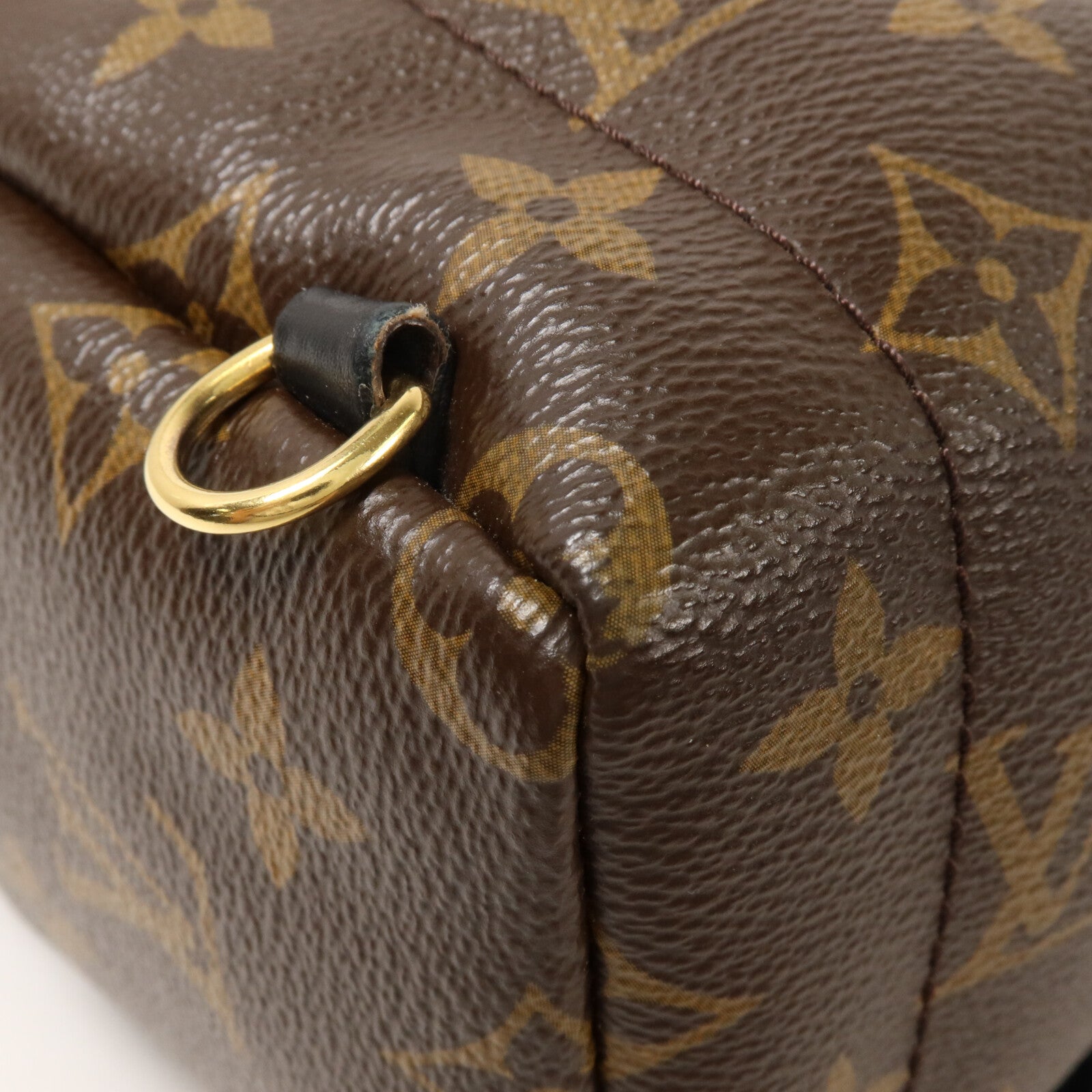 LOUIS VUITTON Monogram Palm Springs Mini背包