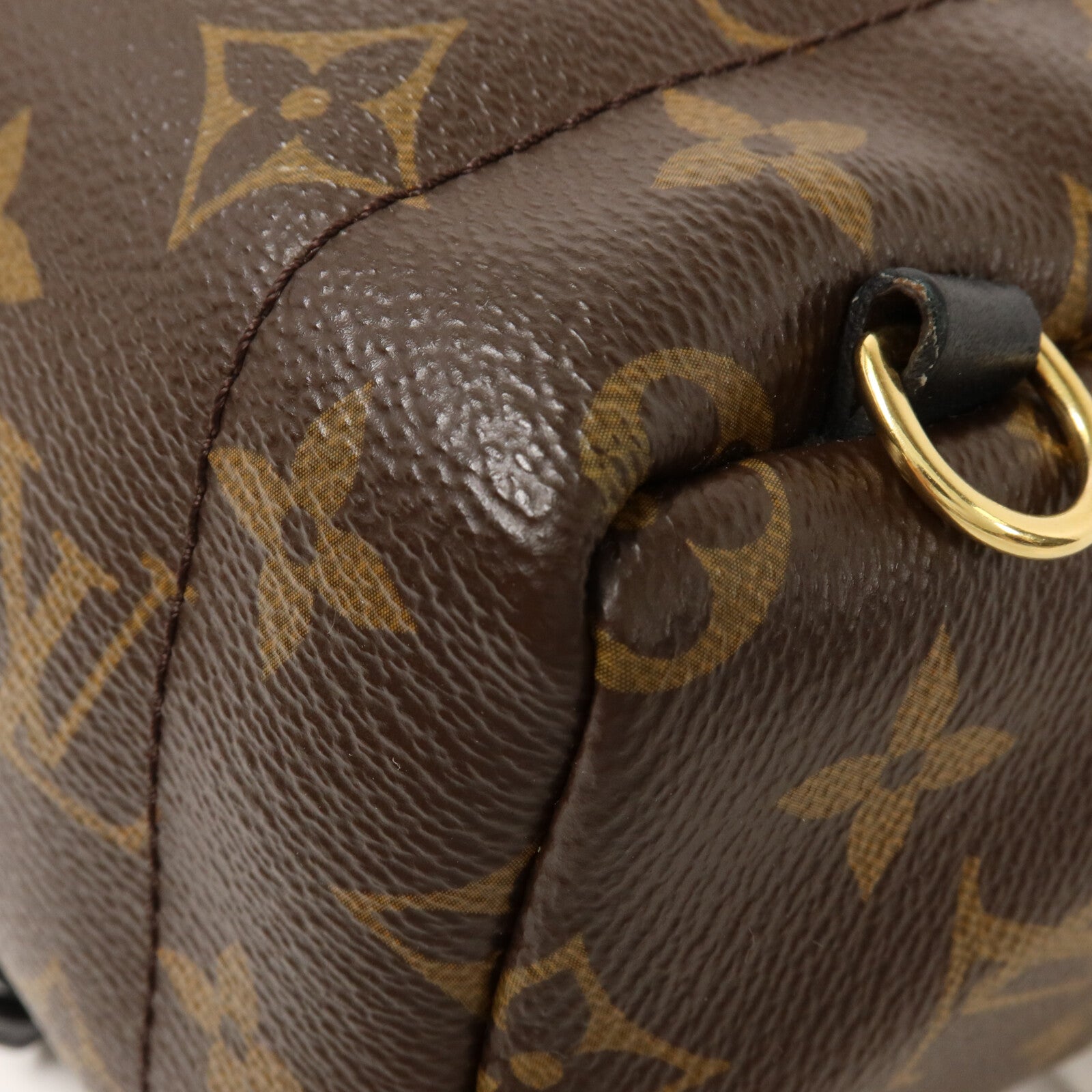 LOUIS VUITTON Monogram Palm Springs Mini背包