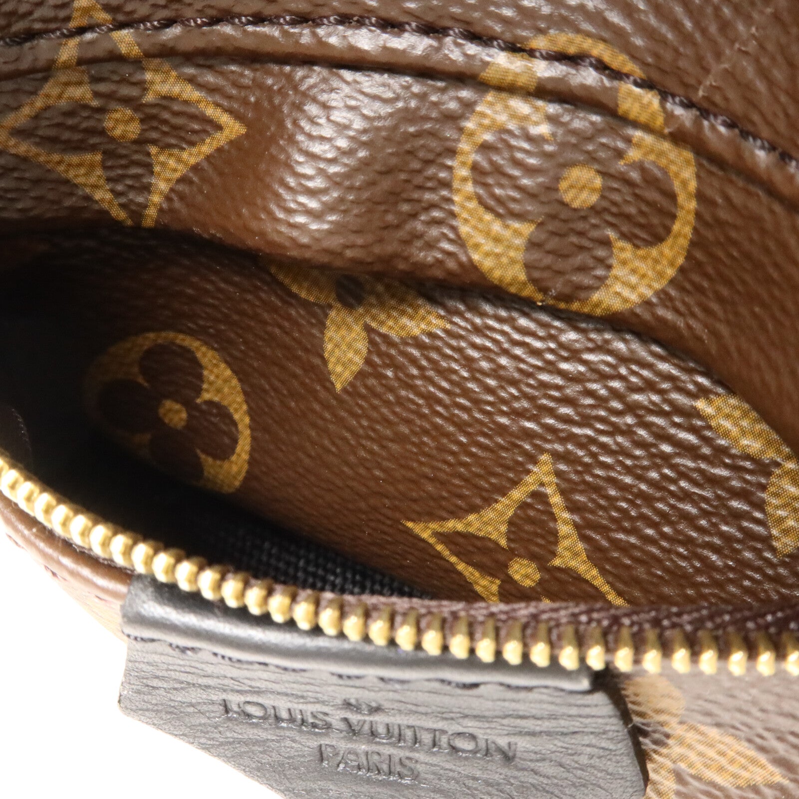 LOUIS VUITTON Monogram Palm Springs Mini背包