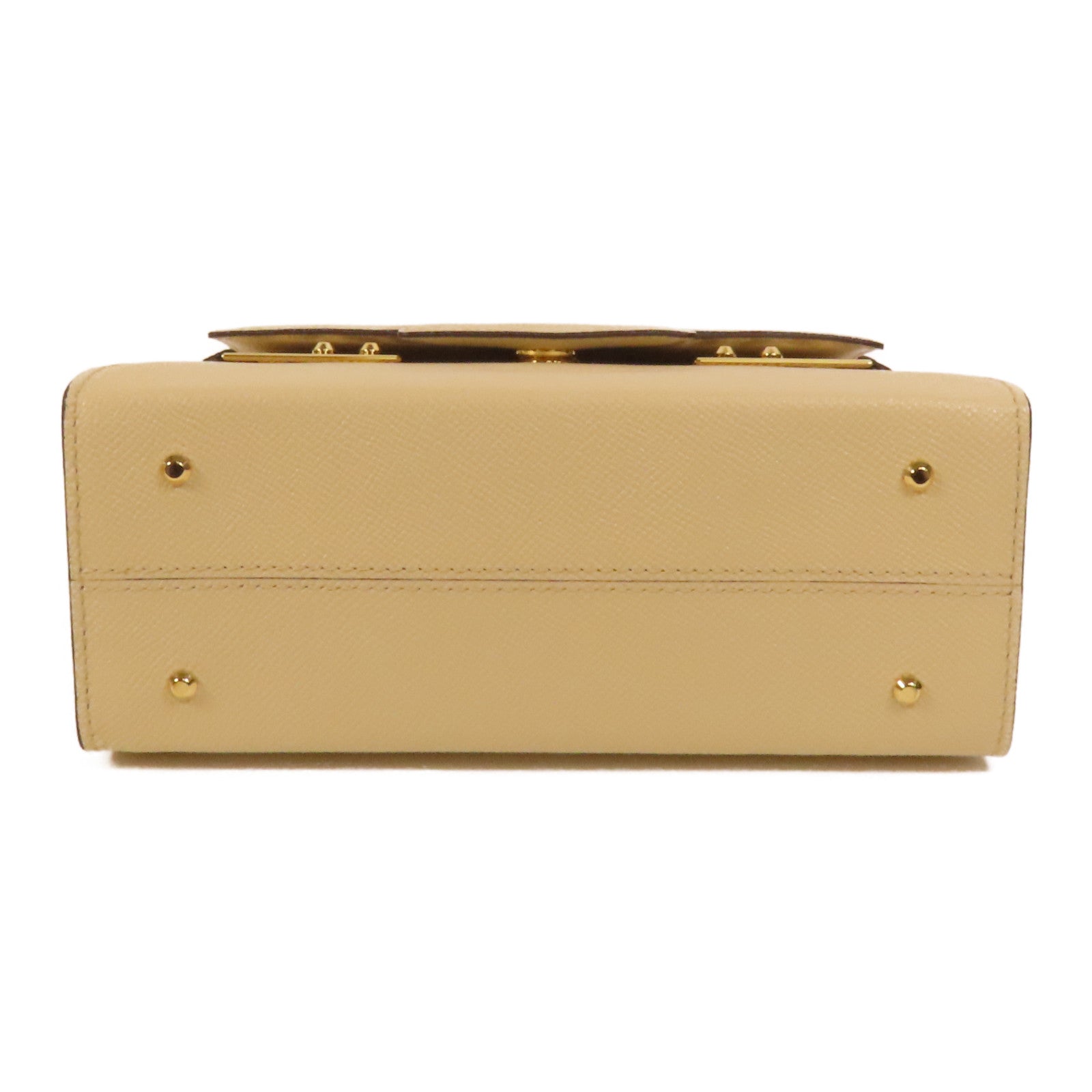Delvaux 【激減優惠】牛皮皮革Tempete PM金扣手挽肩背兩用袋