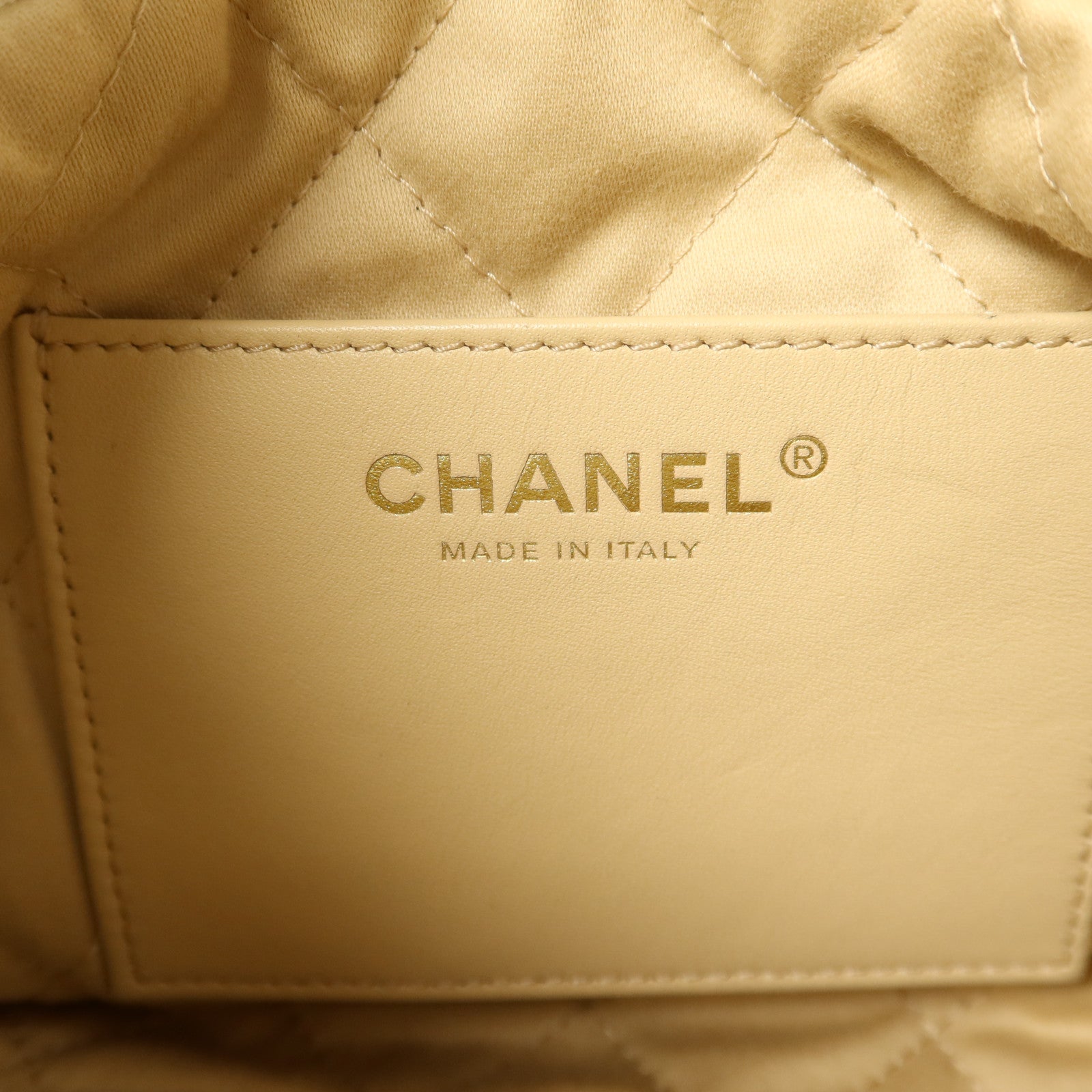 CHANEL 牛皮皮革Chanel 22 Mini金扣手挽肩背兩用袋