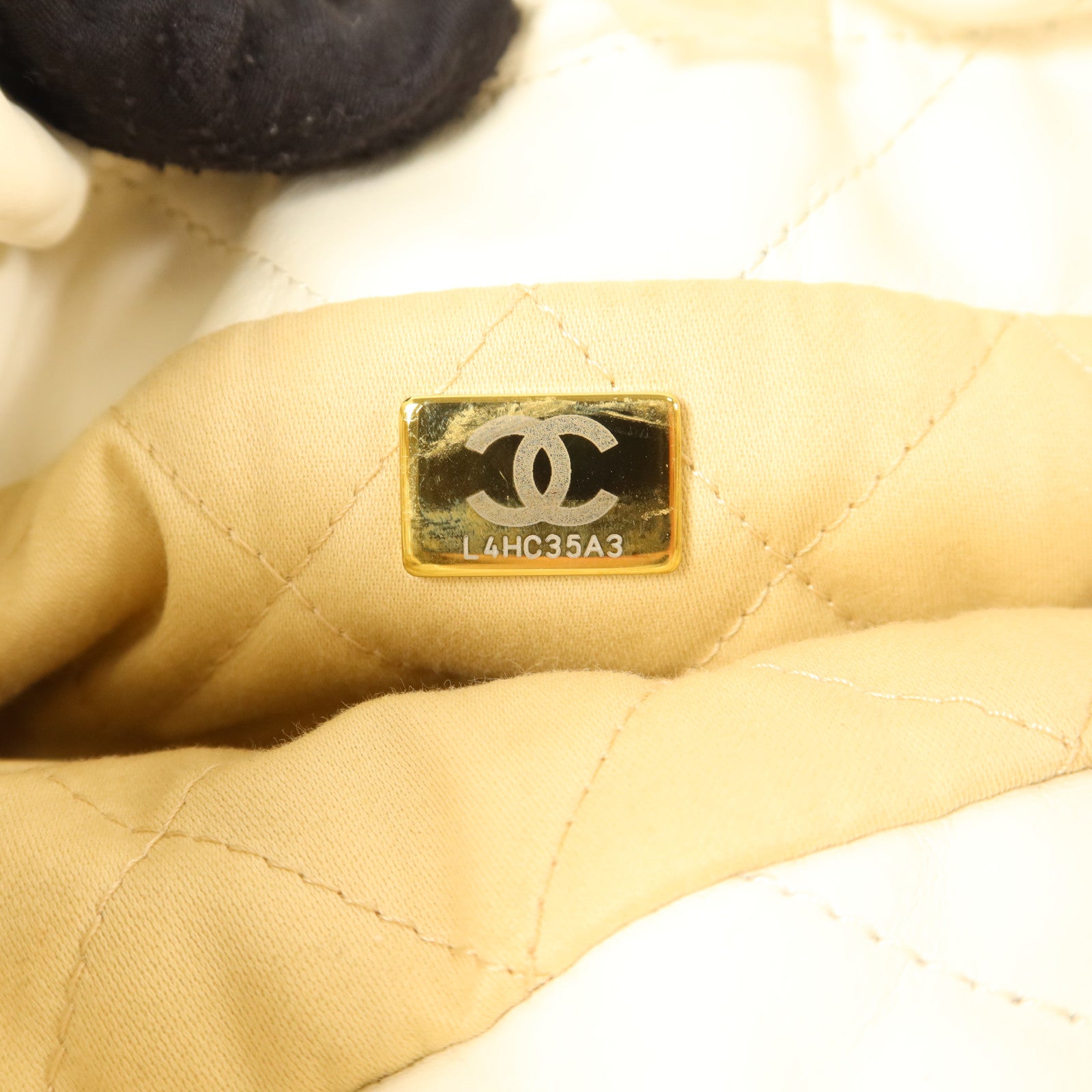 CHANEL 牛皮皮革Chanel 22 Mini金扣手挽肩背兩用袋
