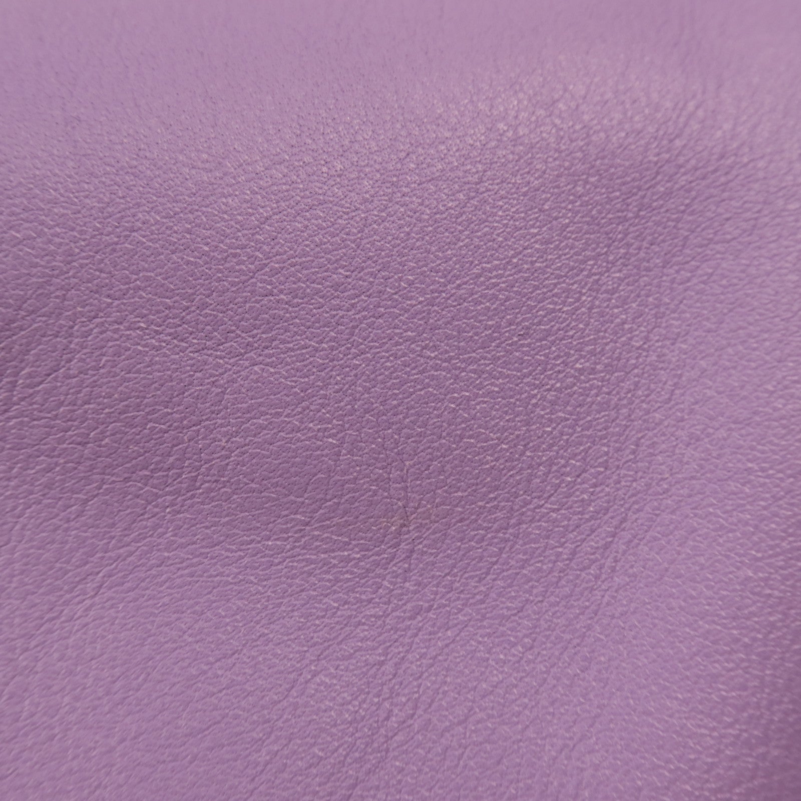BOTTEGA VENETA 牛皮皮革Hand Bag銀扣手挽袋
