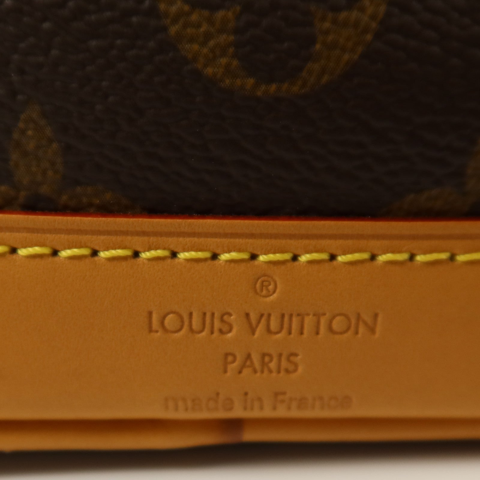 LOUIS VUITTON Monogram Nano Noe金扣手挽肩背兩用袋