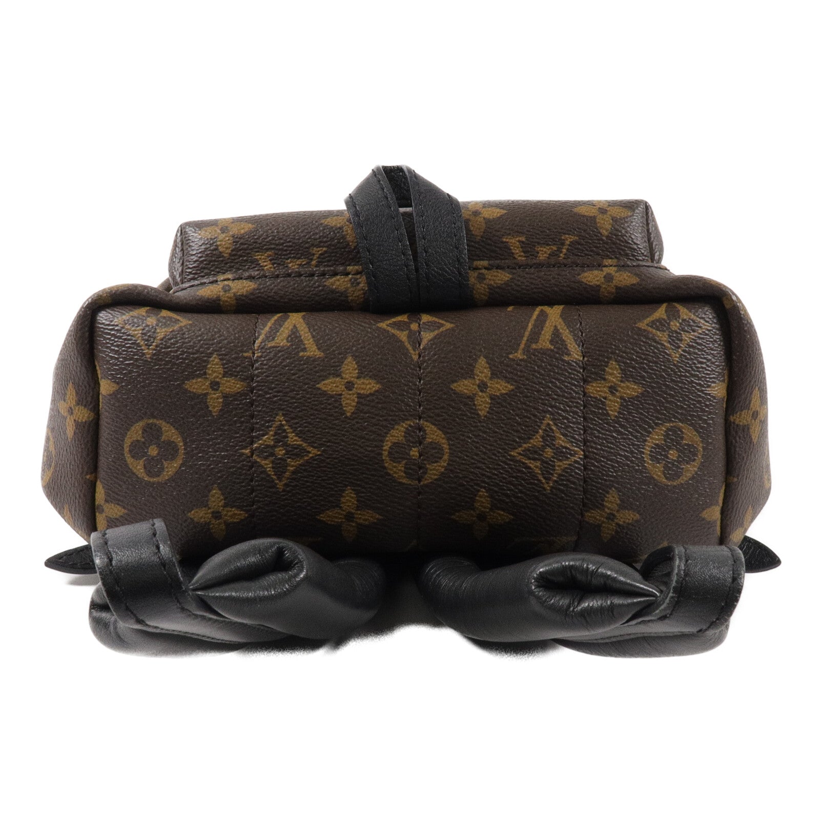 LOUIS VUITTON Monogram Palm Springs PM背包