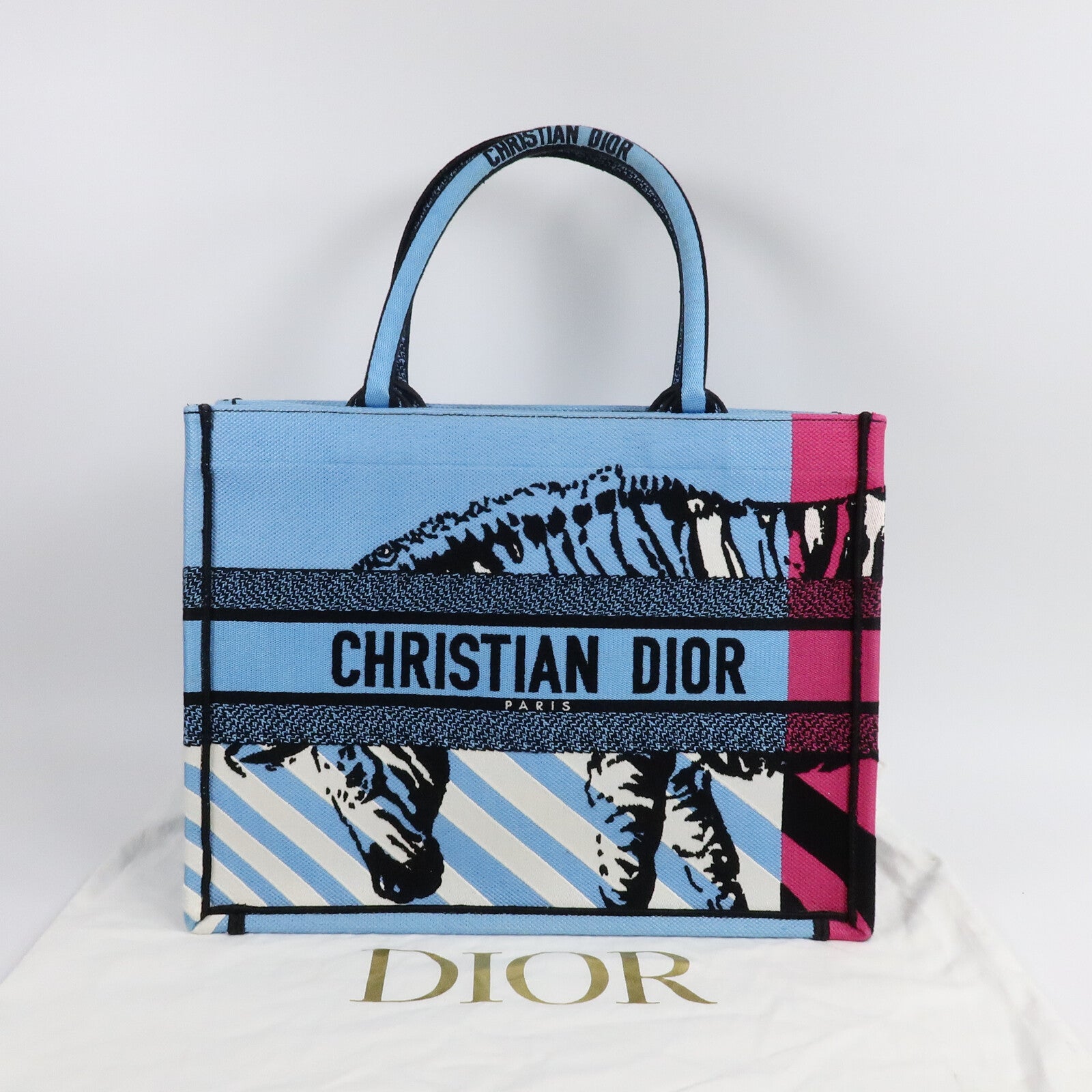Dior 帆布Book Tote Medium手挽袋