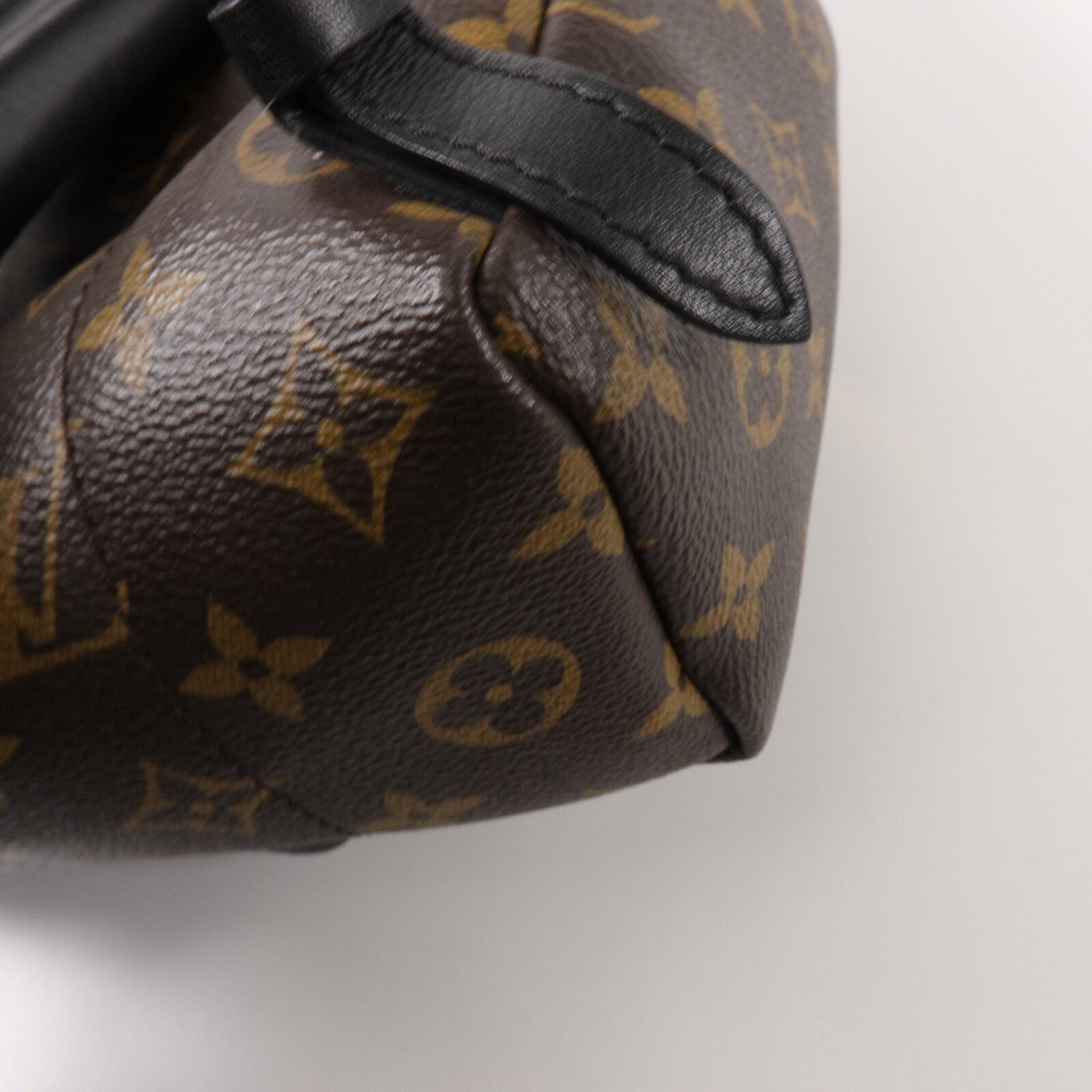 LOUIS VUITTON Monogram Palm Springs PM背包