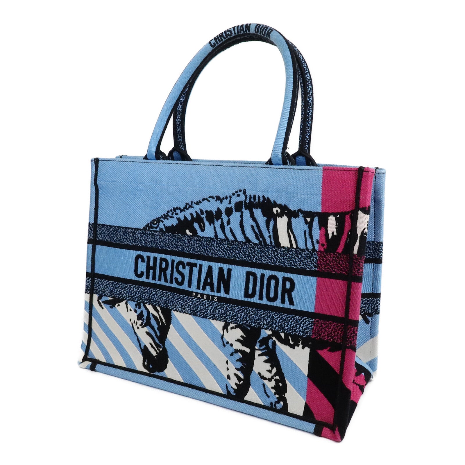 Dior 帆布Book Tote Medium手挽袋