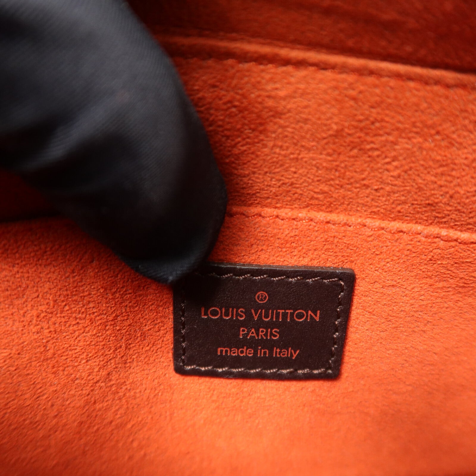 LOUIS VUITTON Damier/馬毛Sauvage Tigre手挽袋