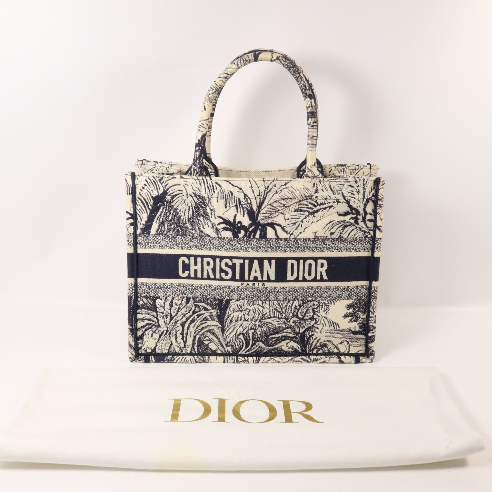 Dior 帆布Book Tote Medium手挽袋