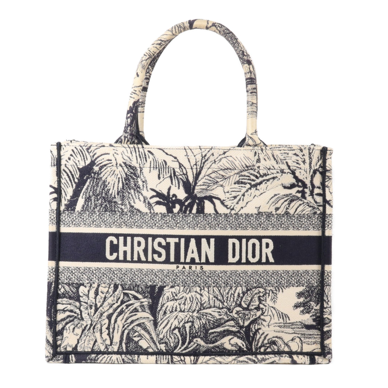 Dior 帆布Book Tote Medium手挽袋