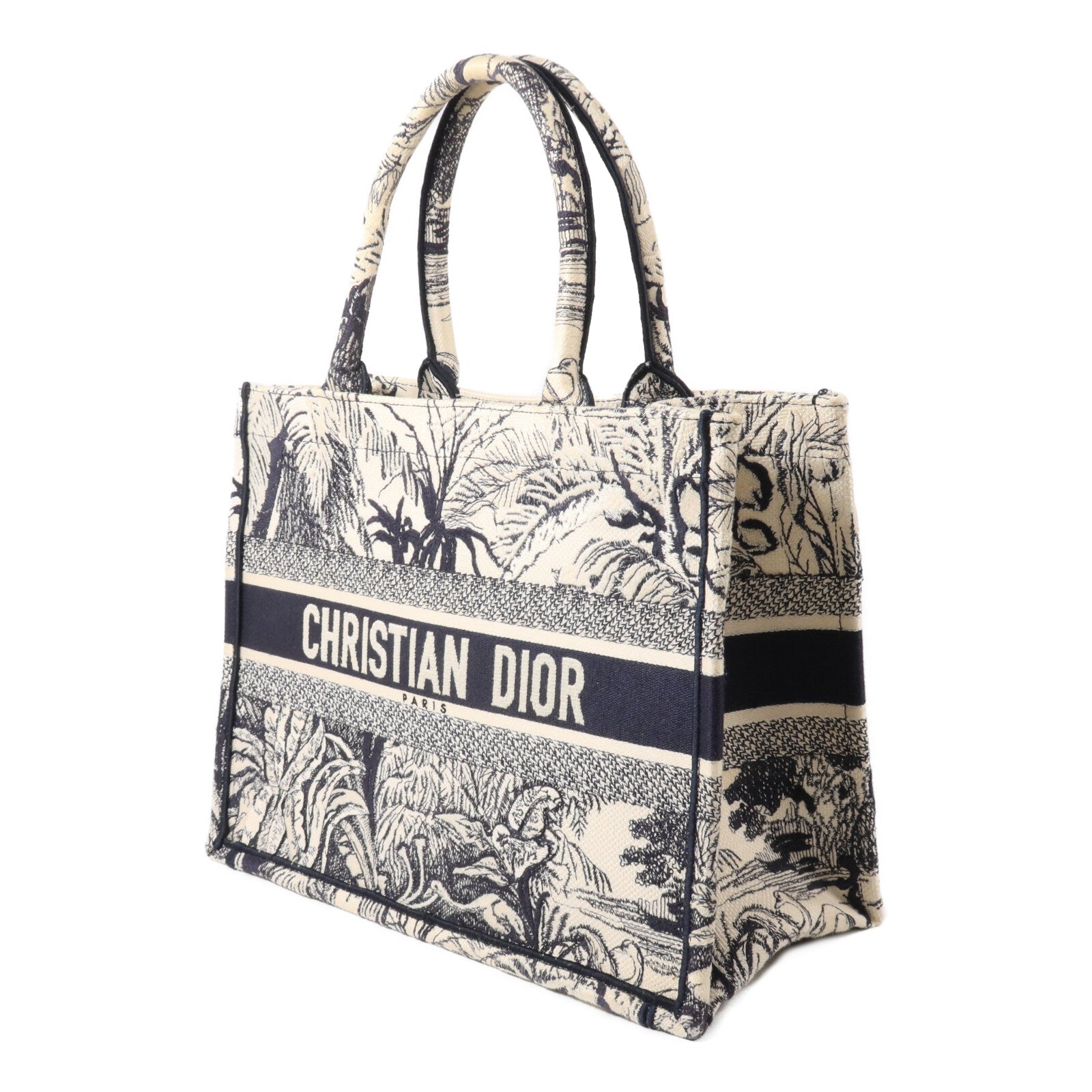 Dior 帆布Book Tote Medium手挽袋