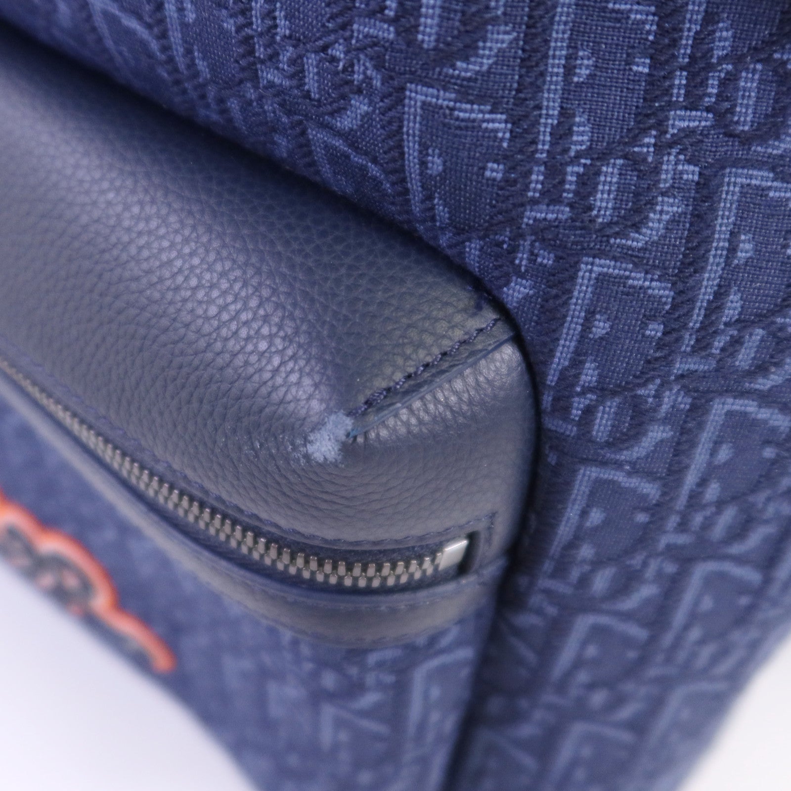 Dior Obriqur帆布/牛皮皮革Dior X Kaws Rider 2.0 Zipped Backpack銀扣背包