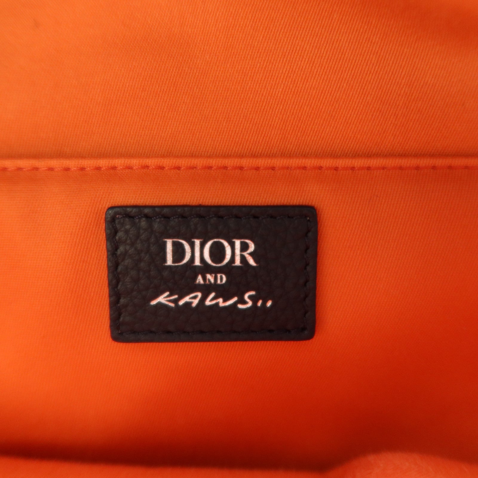 Dior Obriqur帆布/牛皮皮革Dior X Kaws Rider 2.0 Zipped Backpack銀扣背包