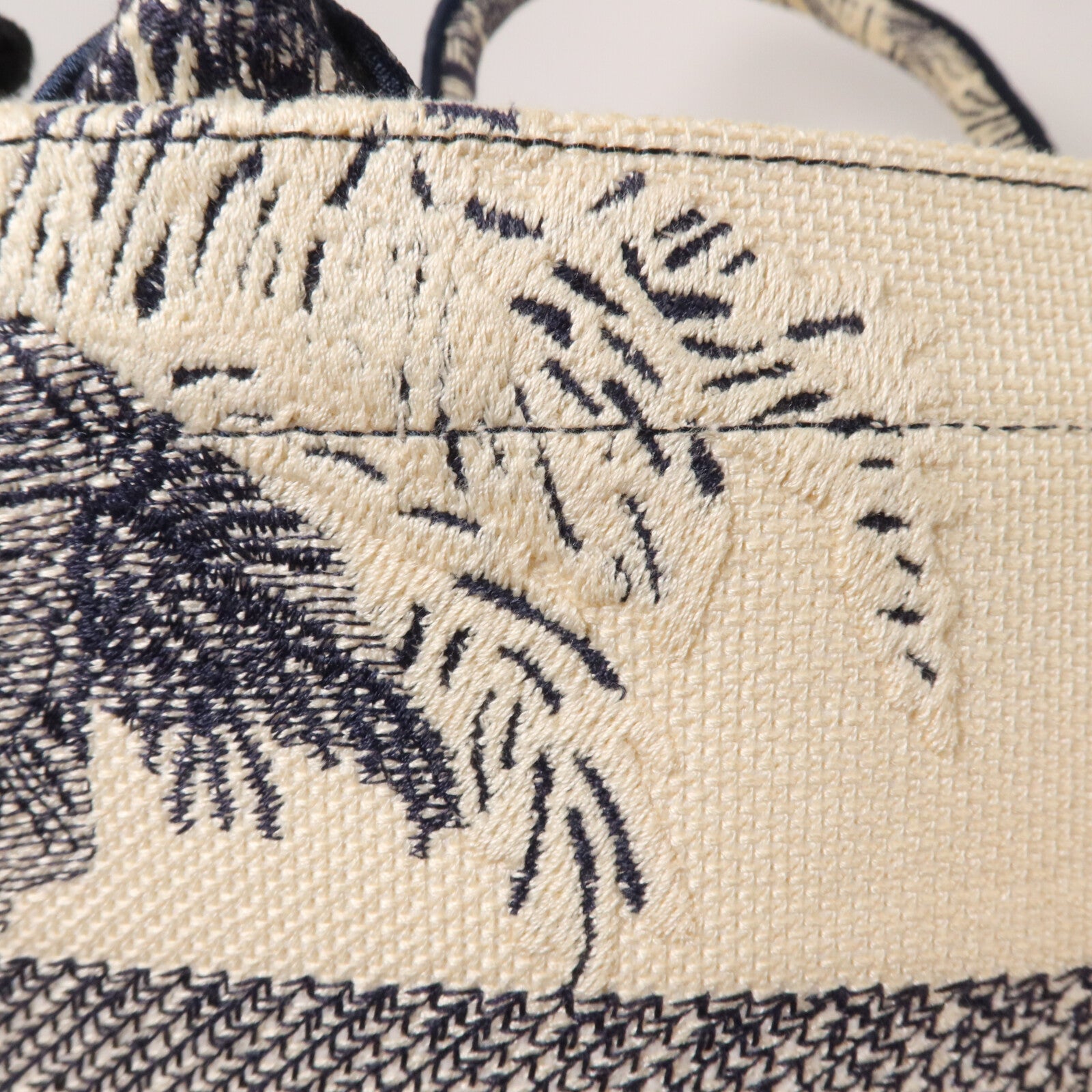 Dior 帆布Book Tote Medium手挽袋