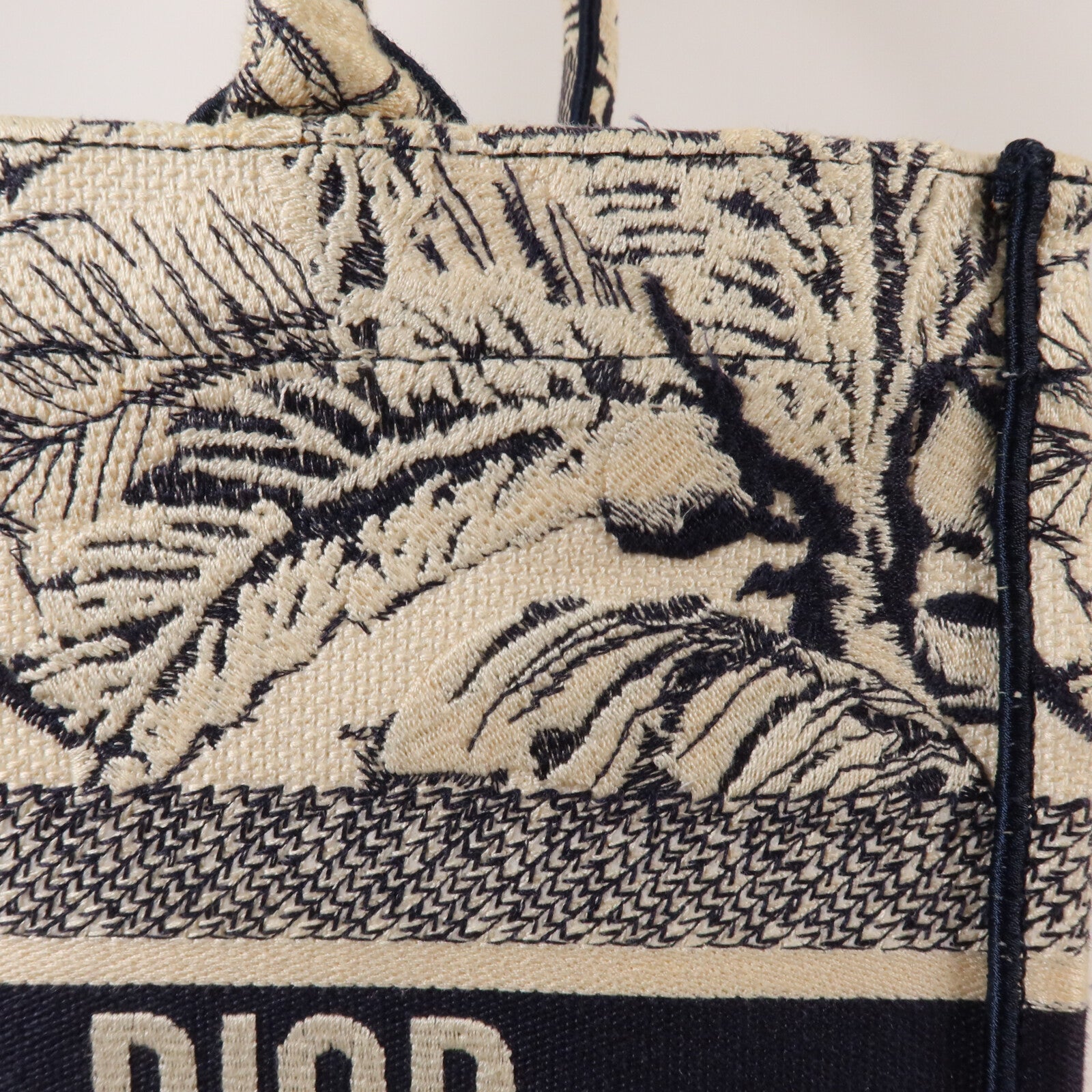 Dior 帆布Book Tote Medium手挽袋