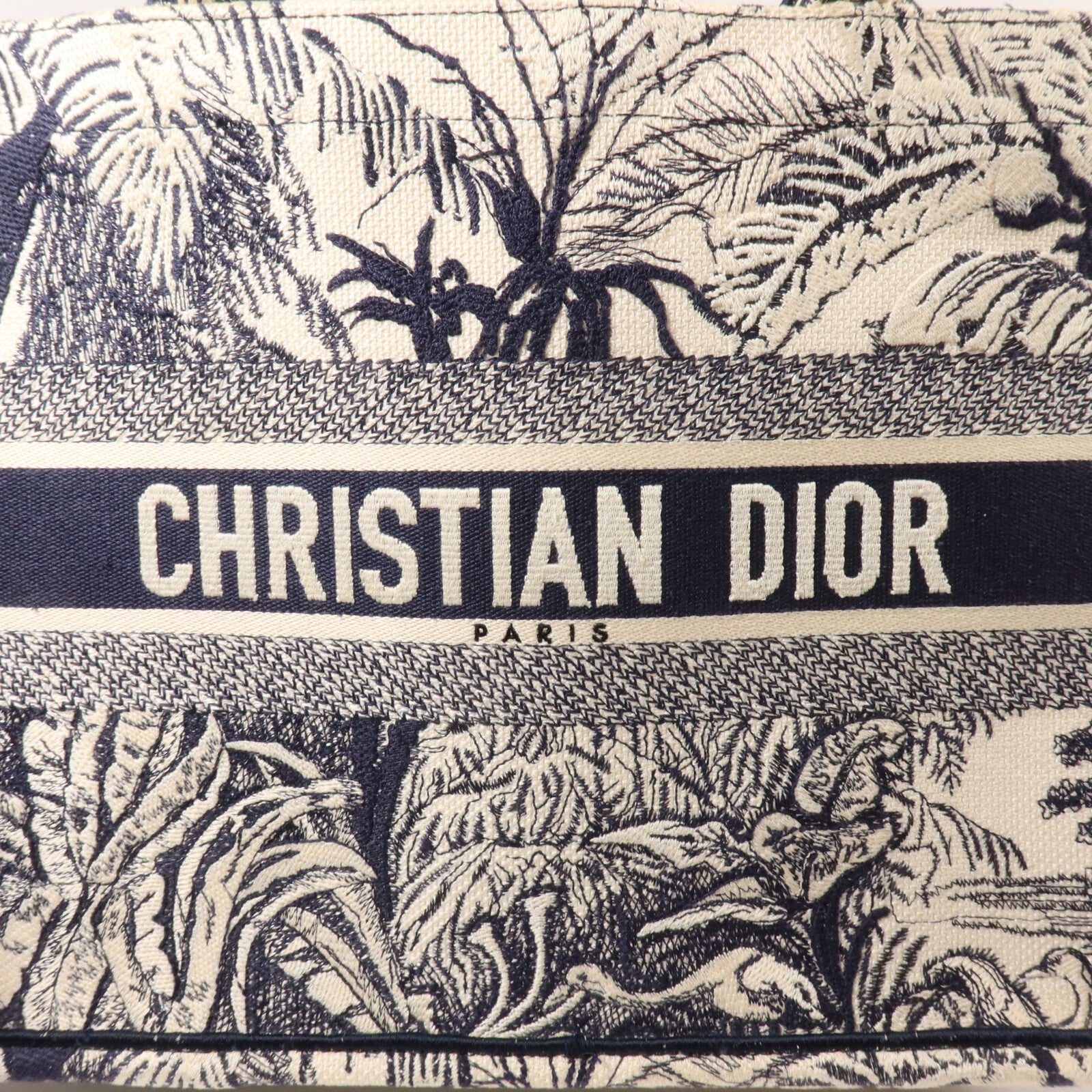Dior 帆布Book Tote Medium手挽袋