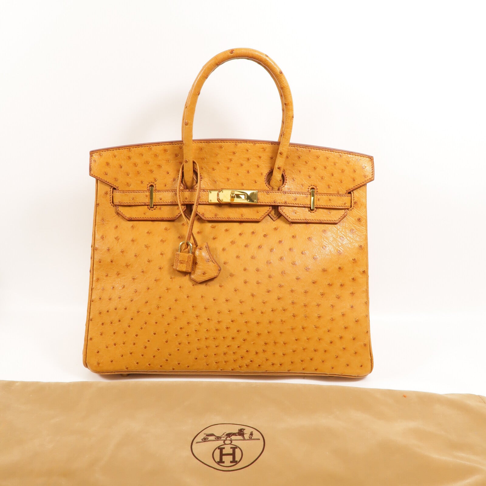 HERMES 鴕鳥皮革Birkin 35手挽袋Gold