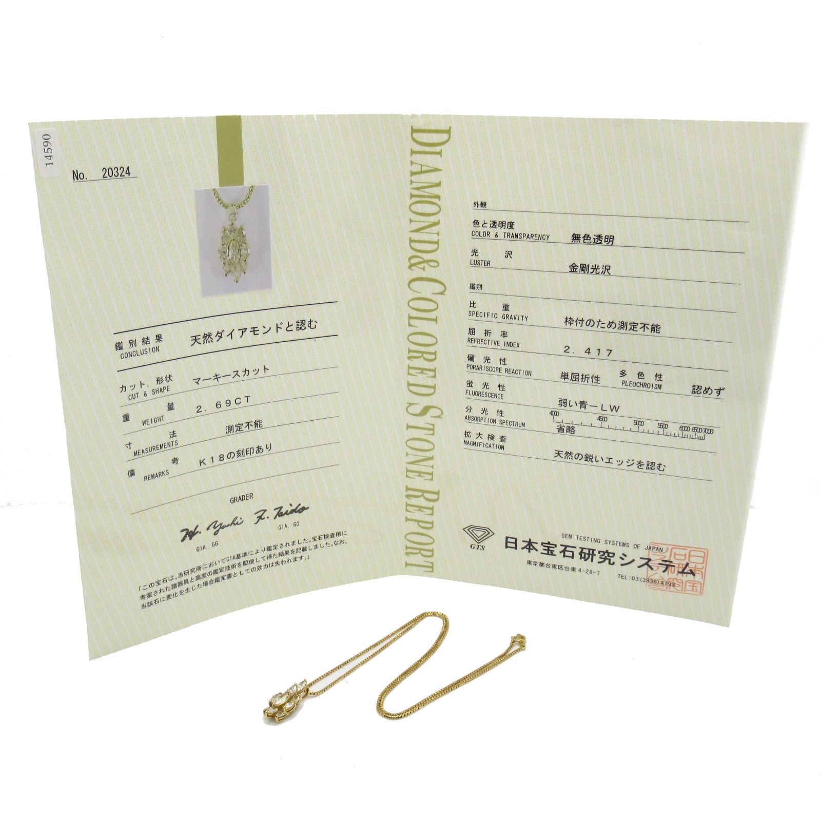JEWELRY 【激減優惠】18K黃金2.69ct Diamond Necklace