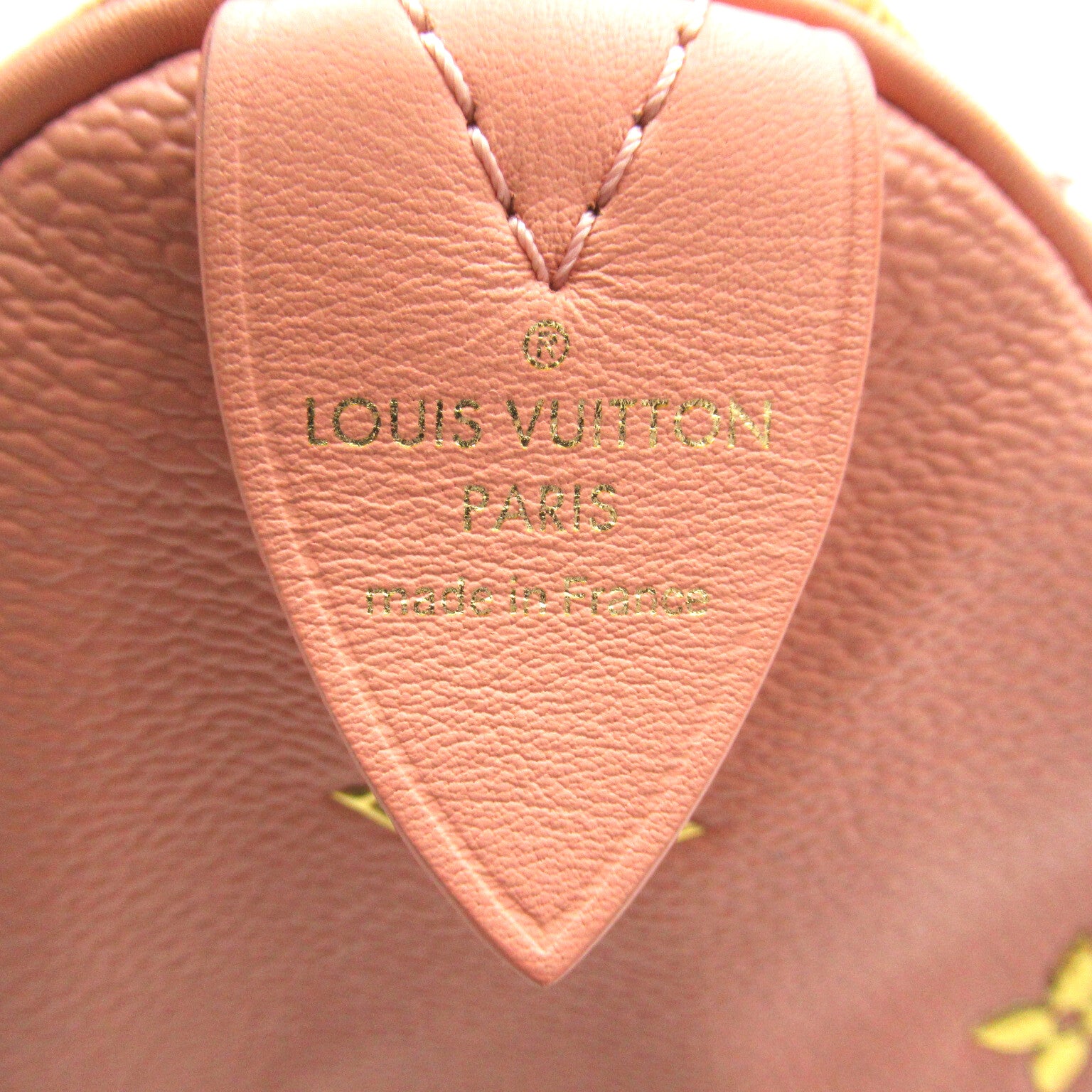 LOUIS VUITTON Masters collection Fragonard Speedy 30手挽袋粉紅色/米色