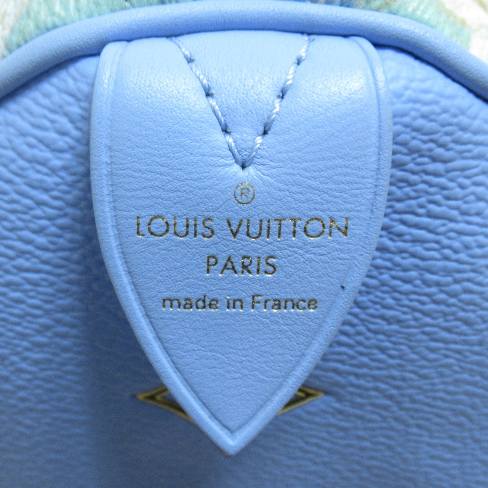 LOUIS VUITTON 塗層帆布Van Gogh speedy 30手挽袋藍色
