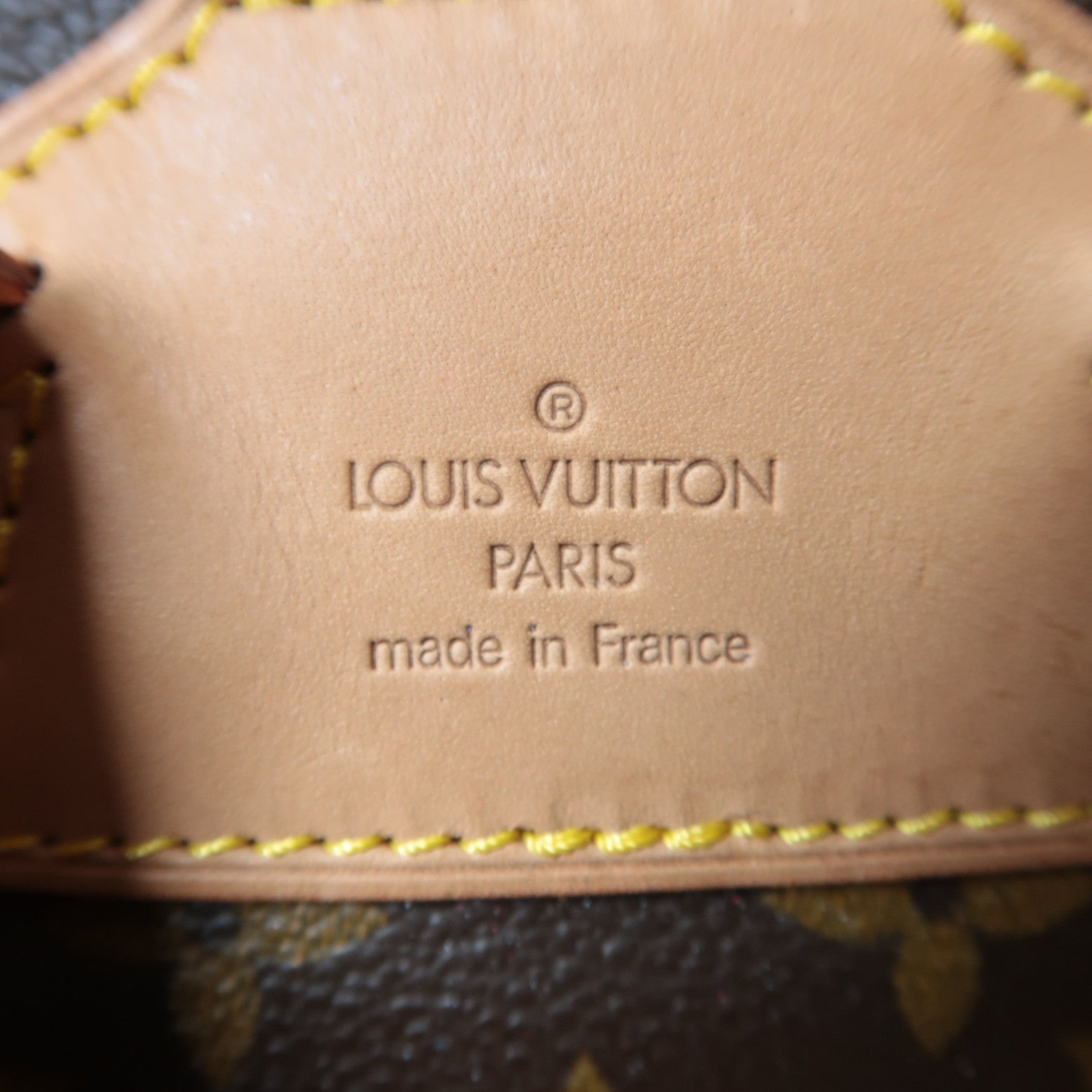LOUIS VUITTON Monogram Montsouris MM金扣背包啡色