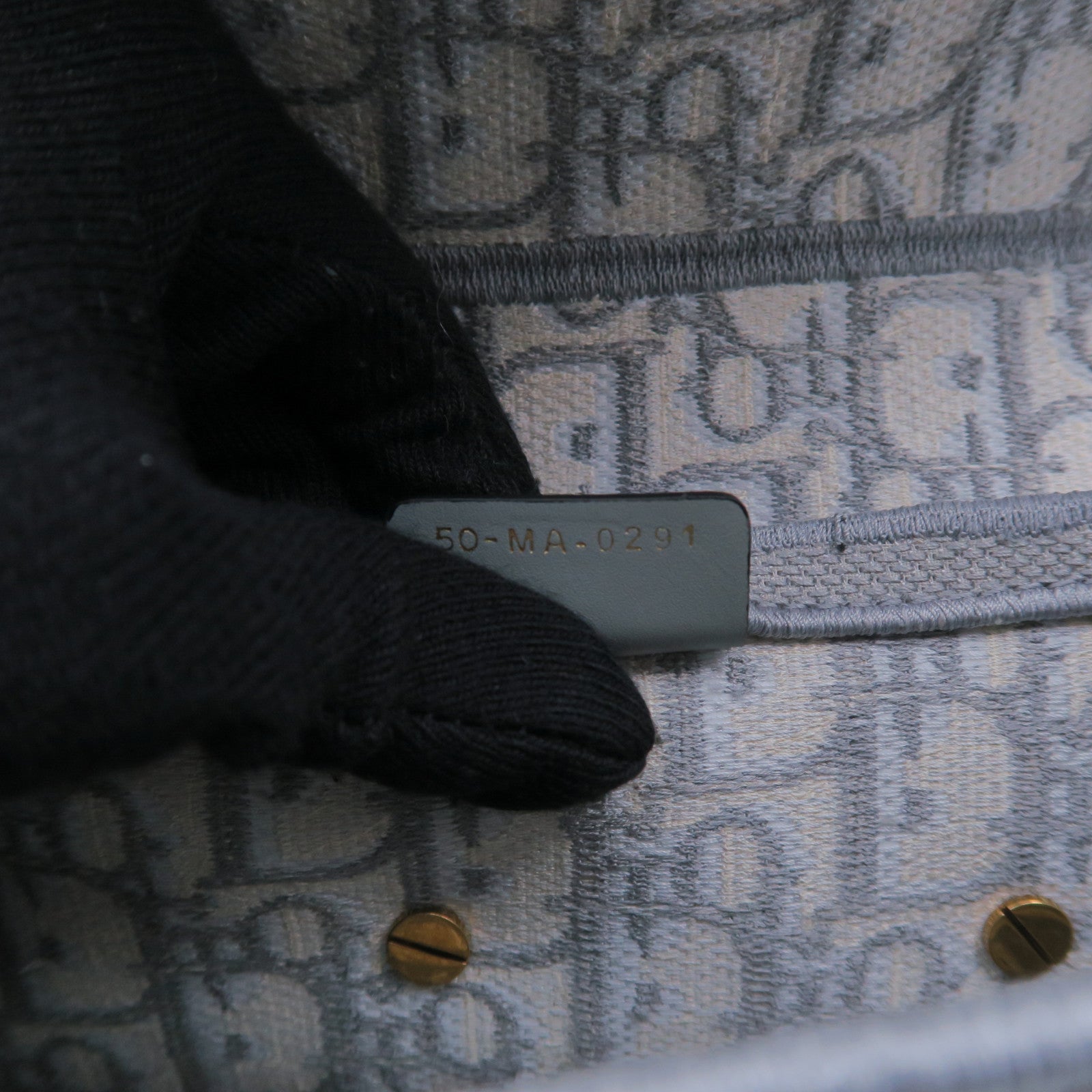 Dior 帆布Saddle M金扣肩背袋白色