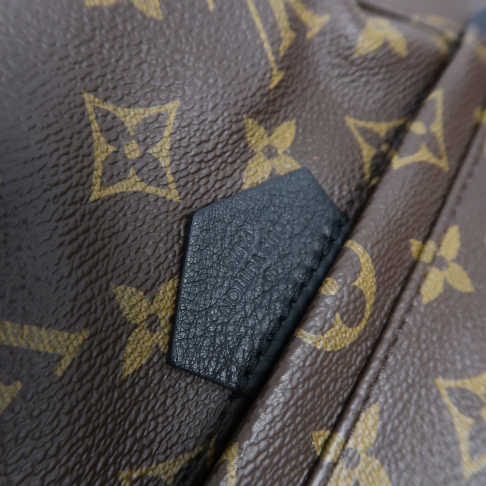 LOUIS VUITTON Monogram Palm Springs PM金扣背包啡色
