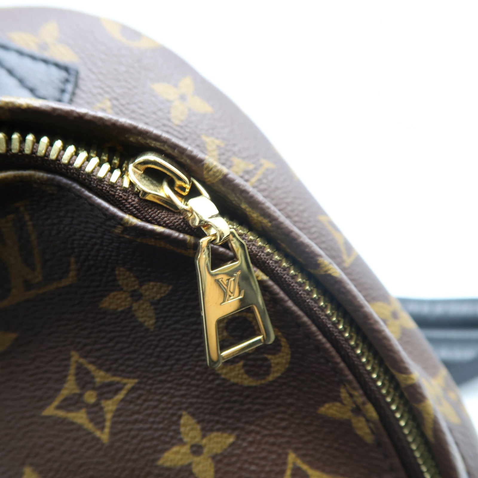 LOUIS VUITTON Monogram Palm Springs PM金扣背包啡色