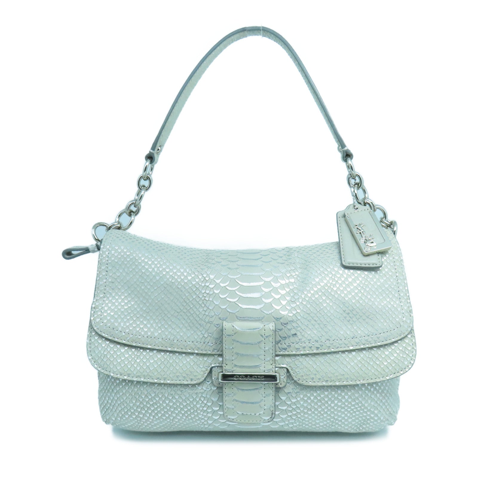 COACH 皮革Pouch Shoulder銀扣肩背袋銀色
