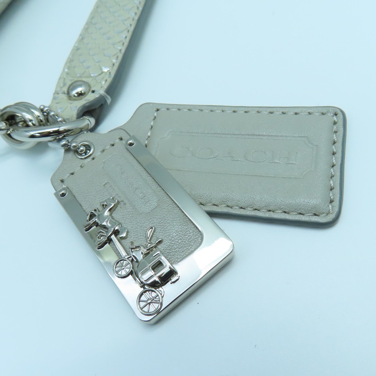 COACH 皮革Pouch Shoulder銀扣肩背袋銀色