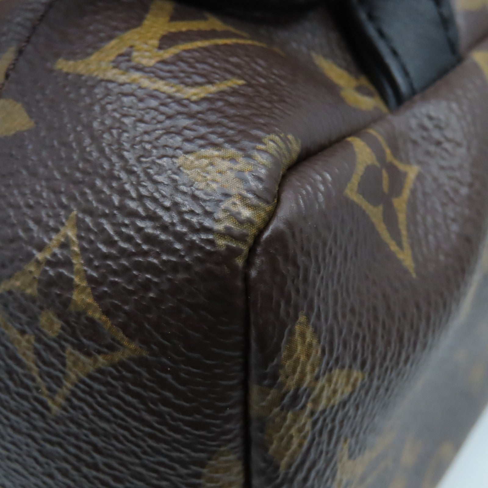 LOUIS VUITTON Monogram Palm Springs金扣背包啡色