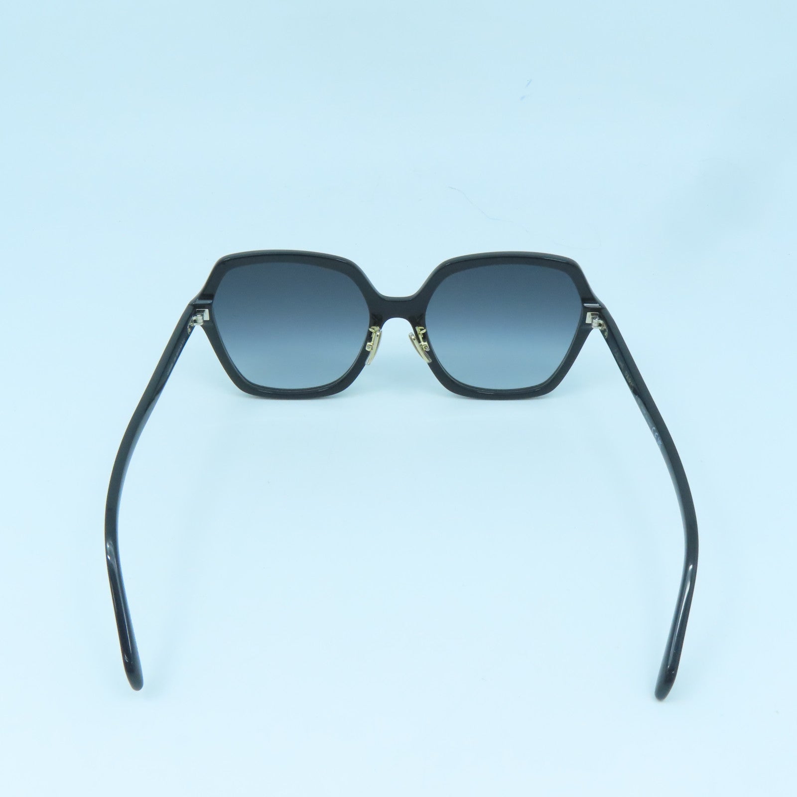 CELINE PVC Sunglasses Gold Buckle Sunglasses Black