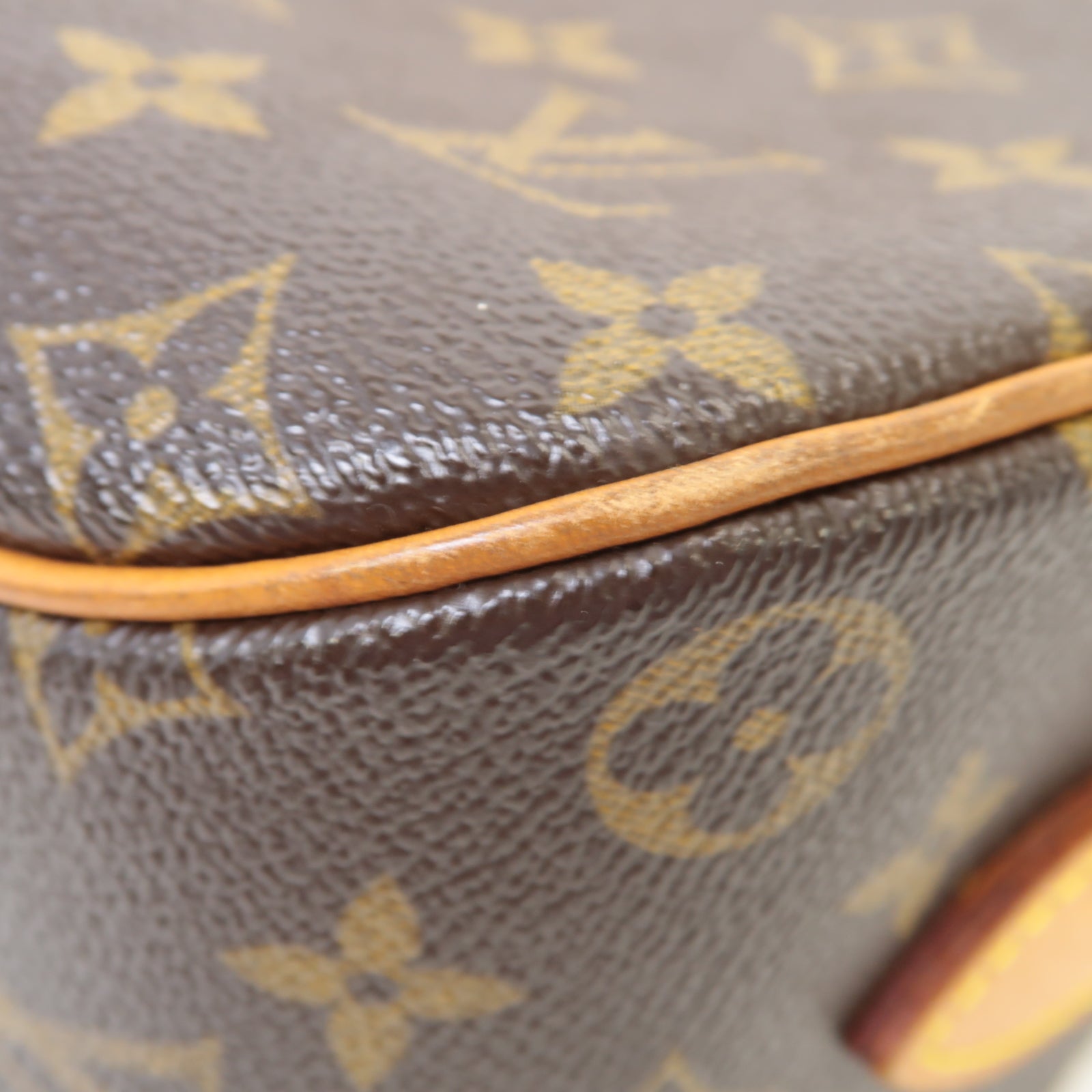 LOUIS VUITTON Monogram Blois金扣肩背袋啡色