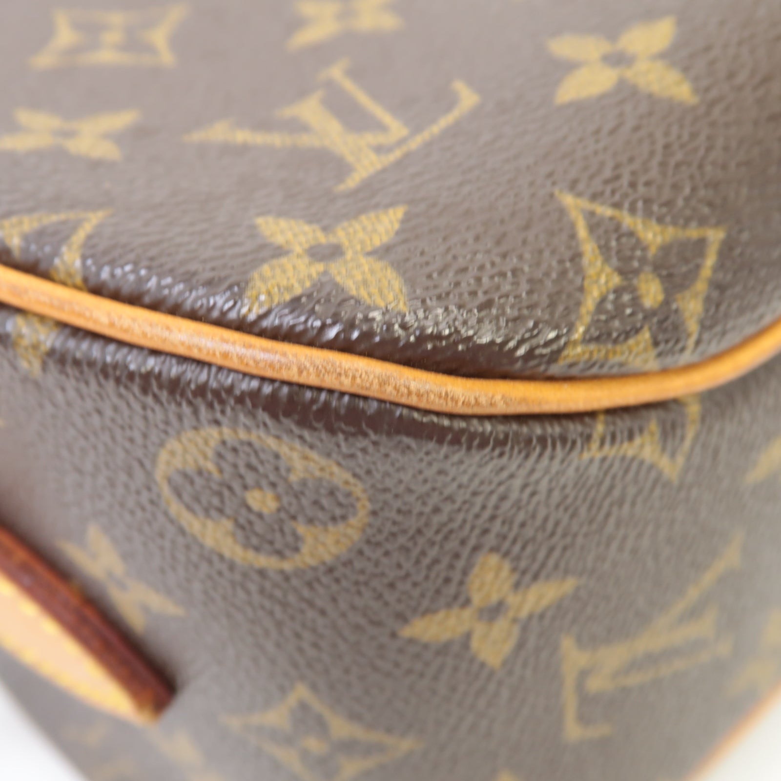 LOUIS VUITTON Monogram Blois金扣肩背袋啡色