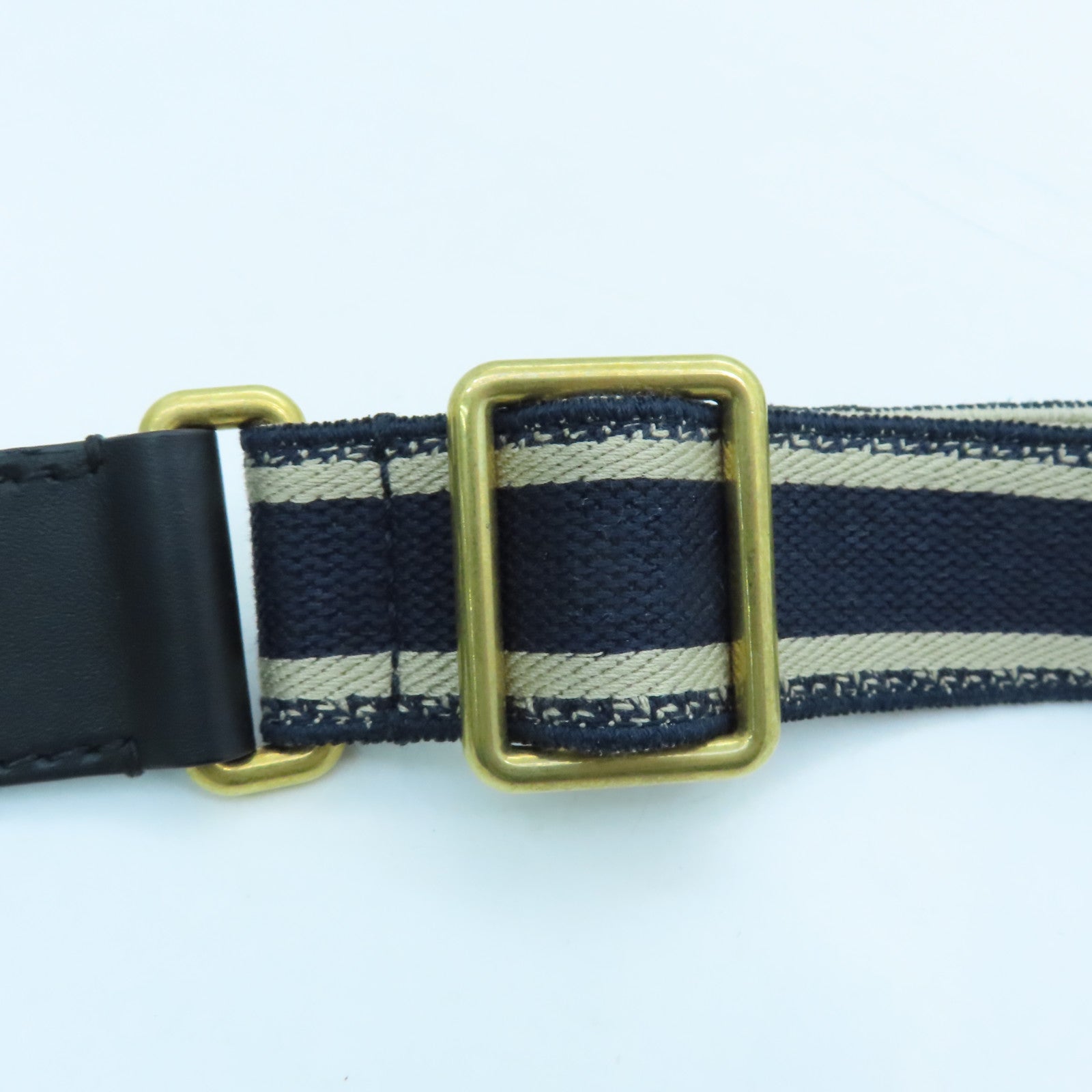 Dior Canvas Adjustable Strap Gold Buckle Charm White/Blue Black