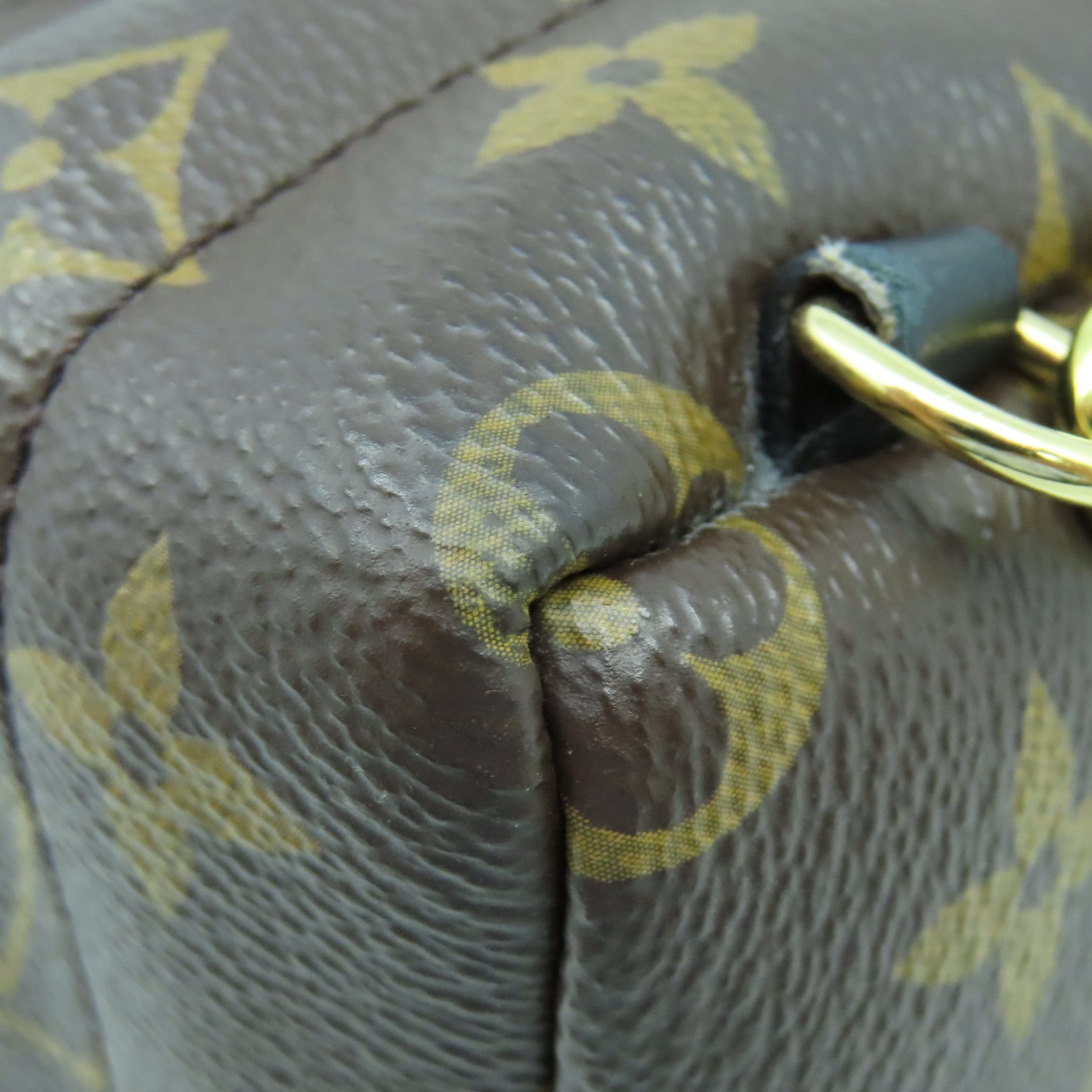 LOUIS VUITTON Monogram Palm Spring Mini金扣背包棕色