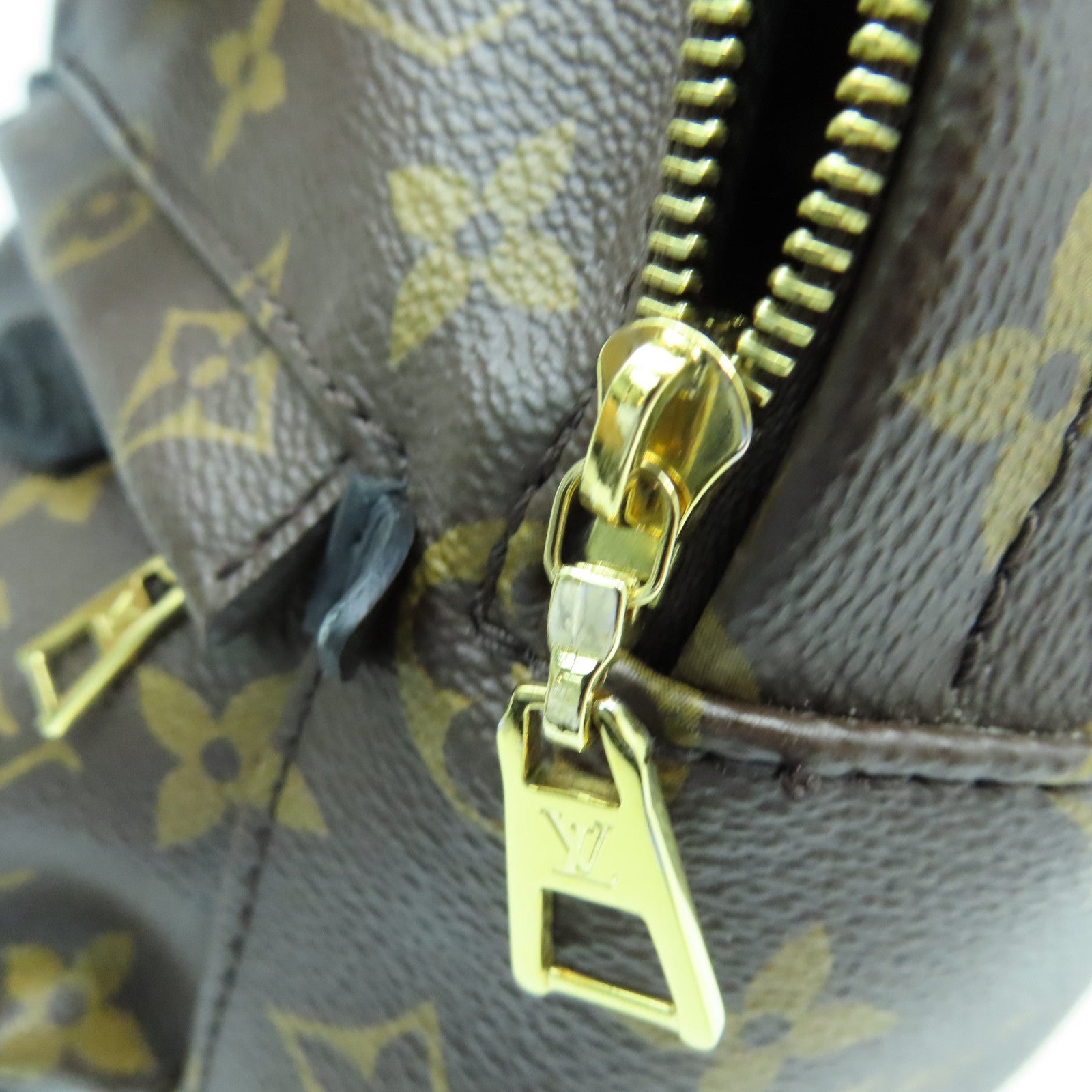 LOUIS VUITTON Monogram Palm Spring Mini金扣背包棕色